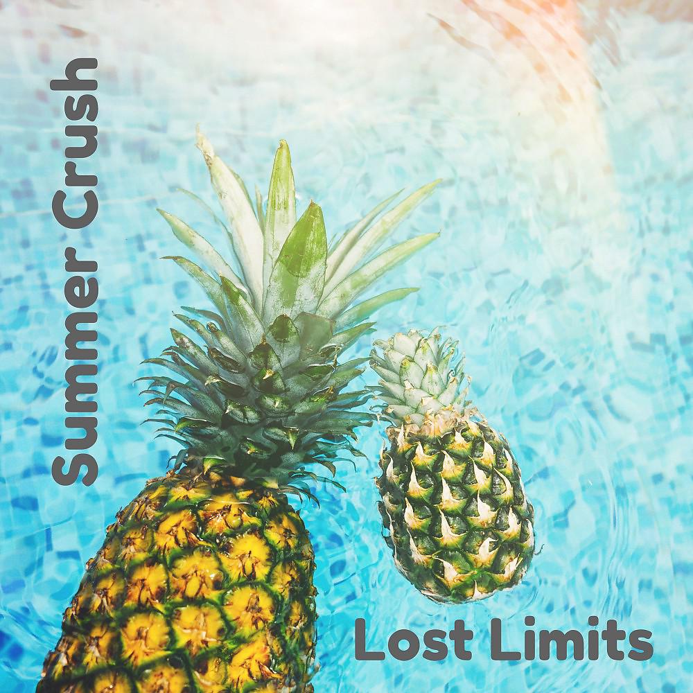Постер альбома Summer Crush (Single Version)