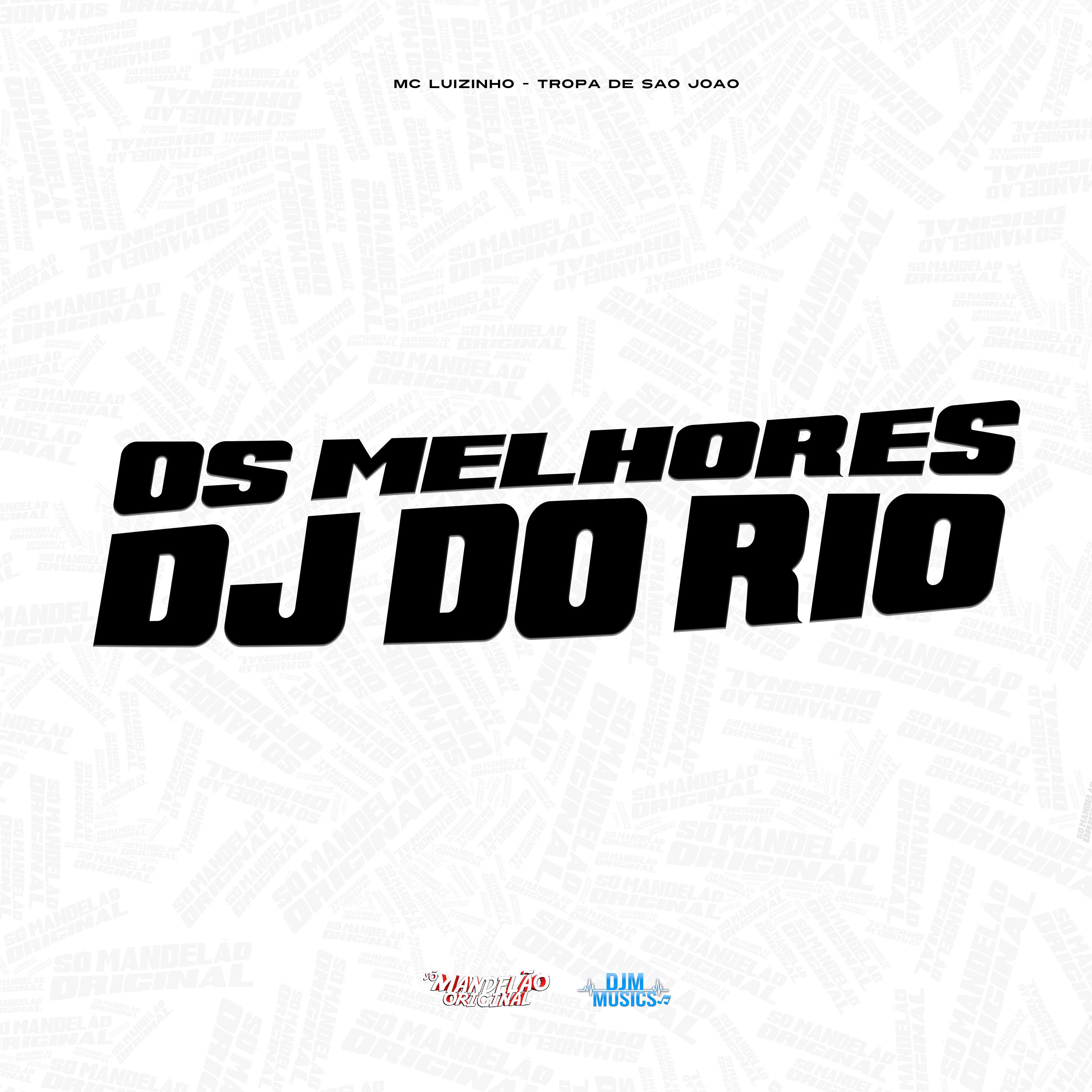 Постер альбома Os Melhores Dj do Rio