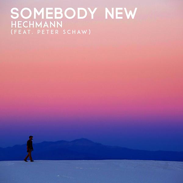 Постер альбома Somebody New (feat. Peter Schaw)