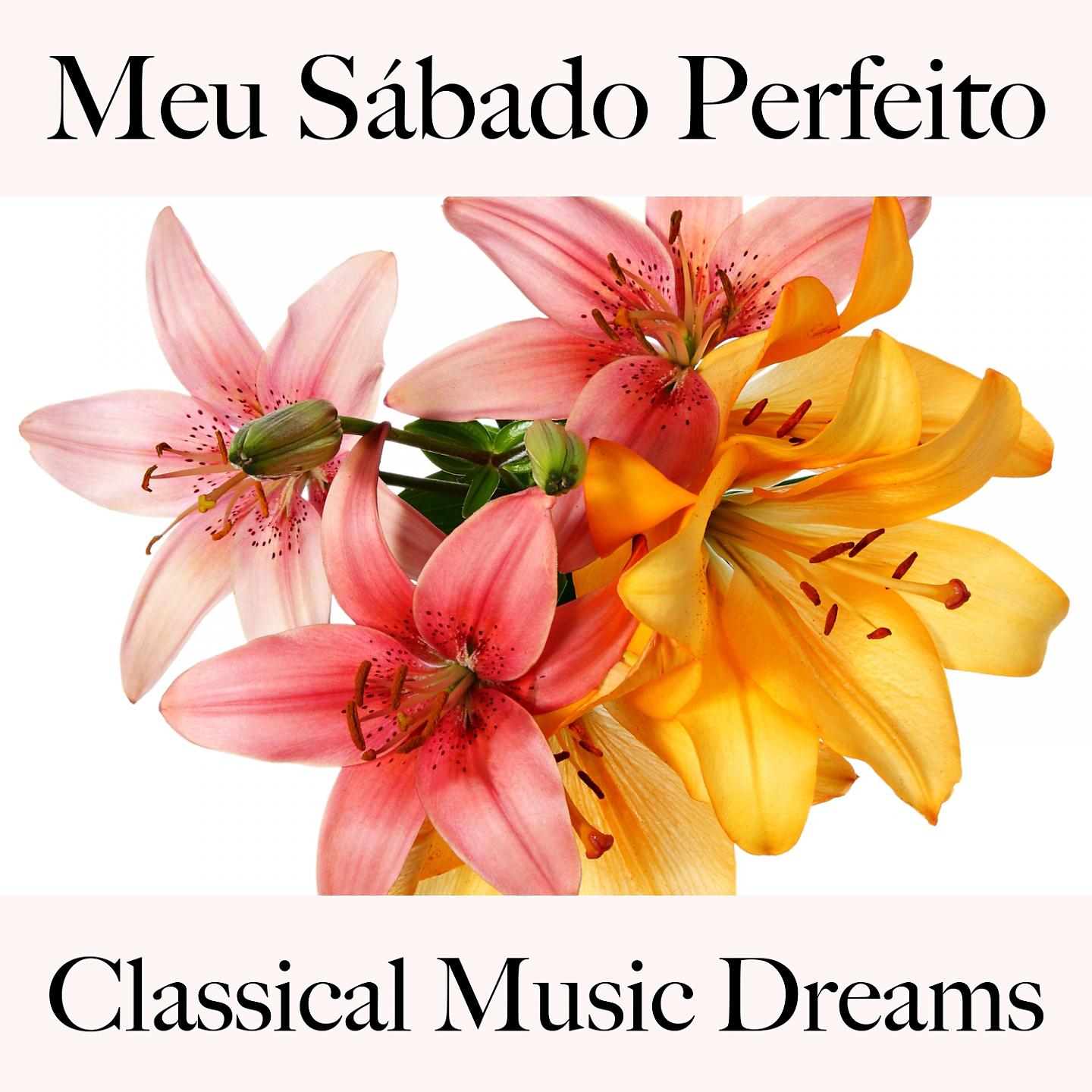 Постер альбома Meu Sábado Perfeito: Classical Music Dreams - A Melhor Música Para Relaxar
