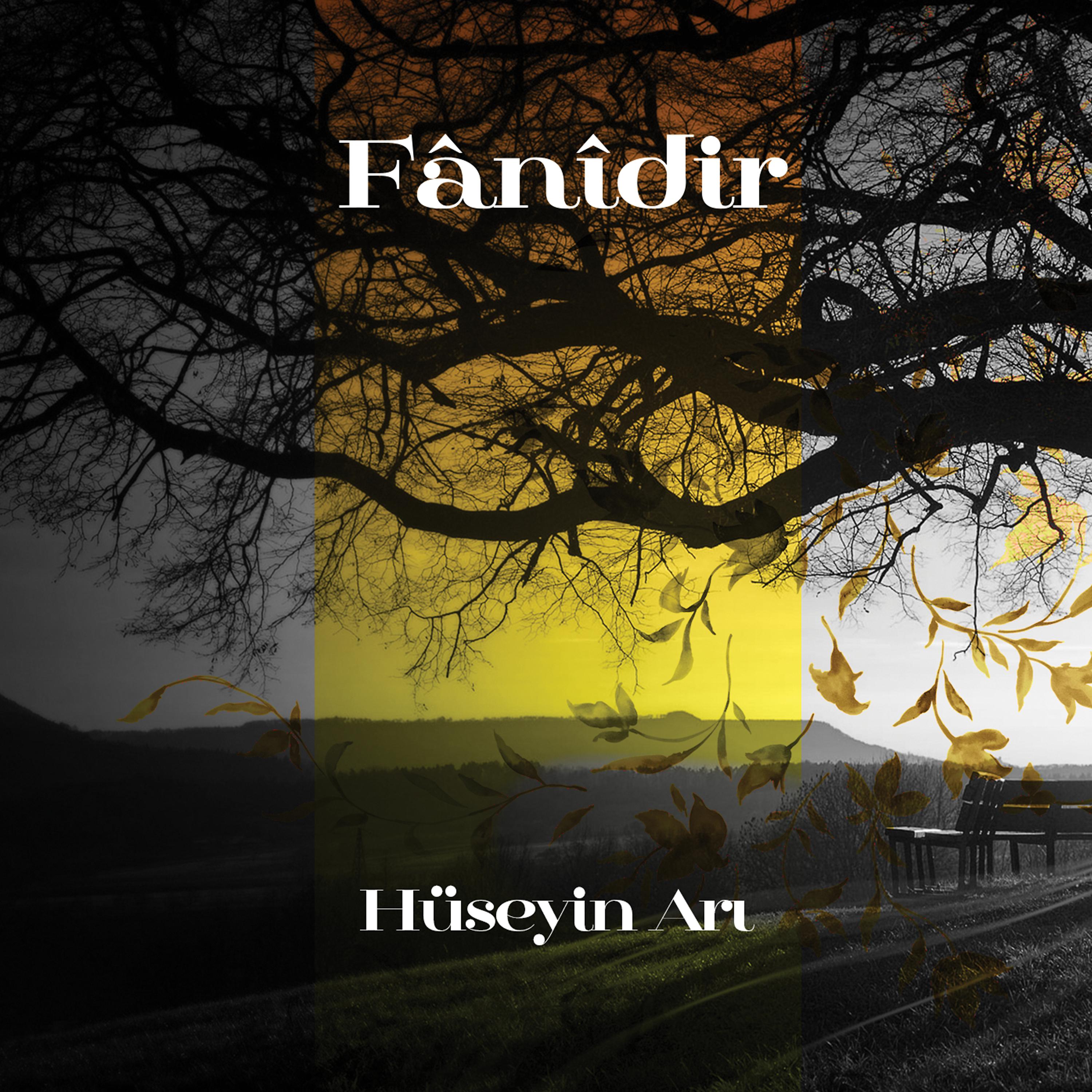 Постер альбома Fânîdir