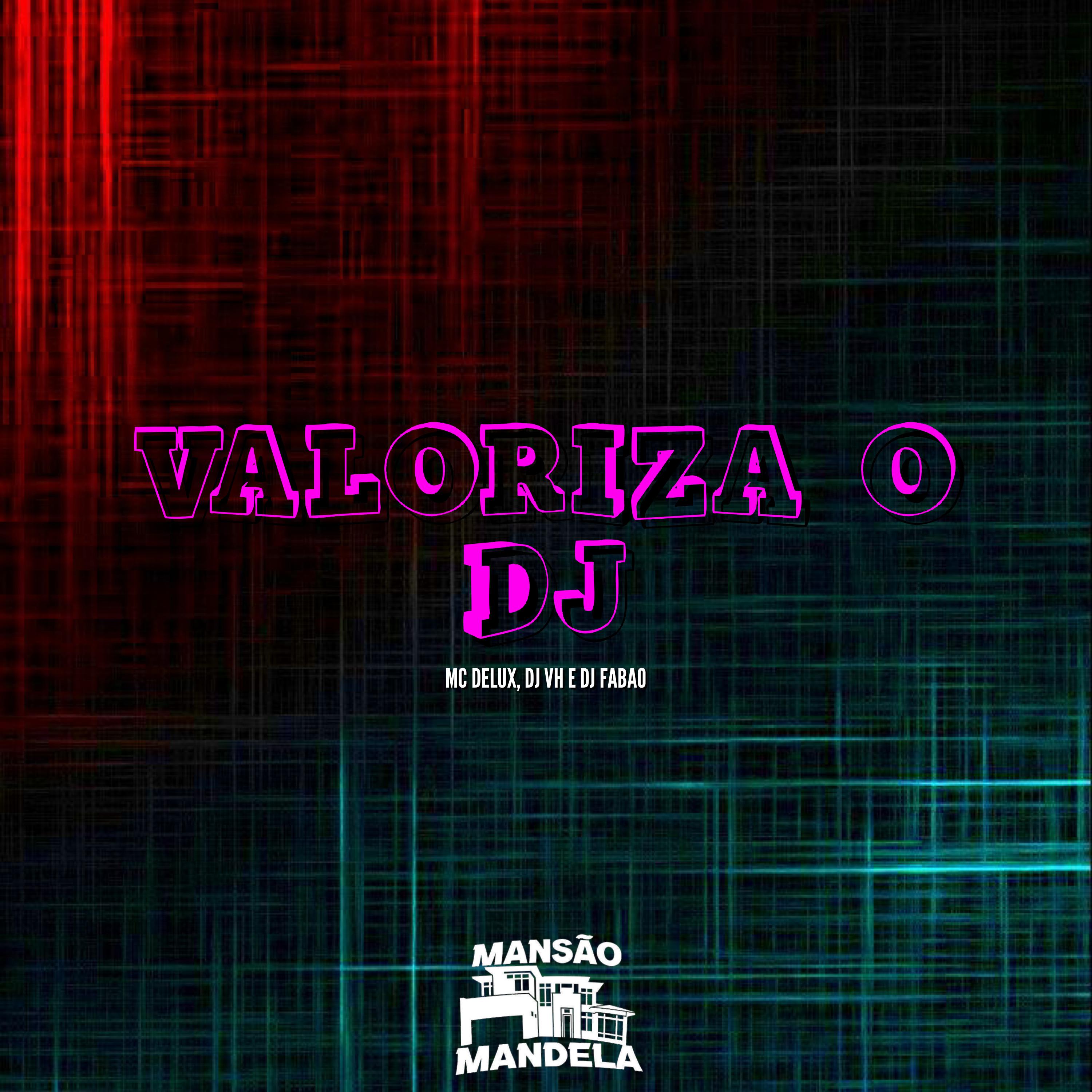 Постер альбома Valoriza o Dj