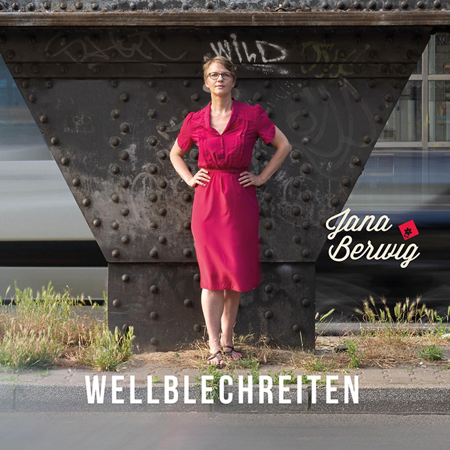 Постер альбома Wellblechreiten