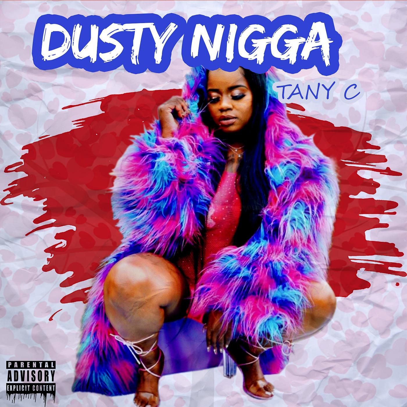 Постер альбома Dusty Nigga