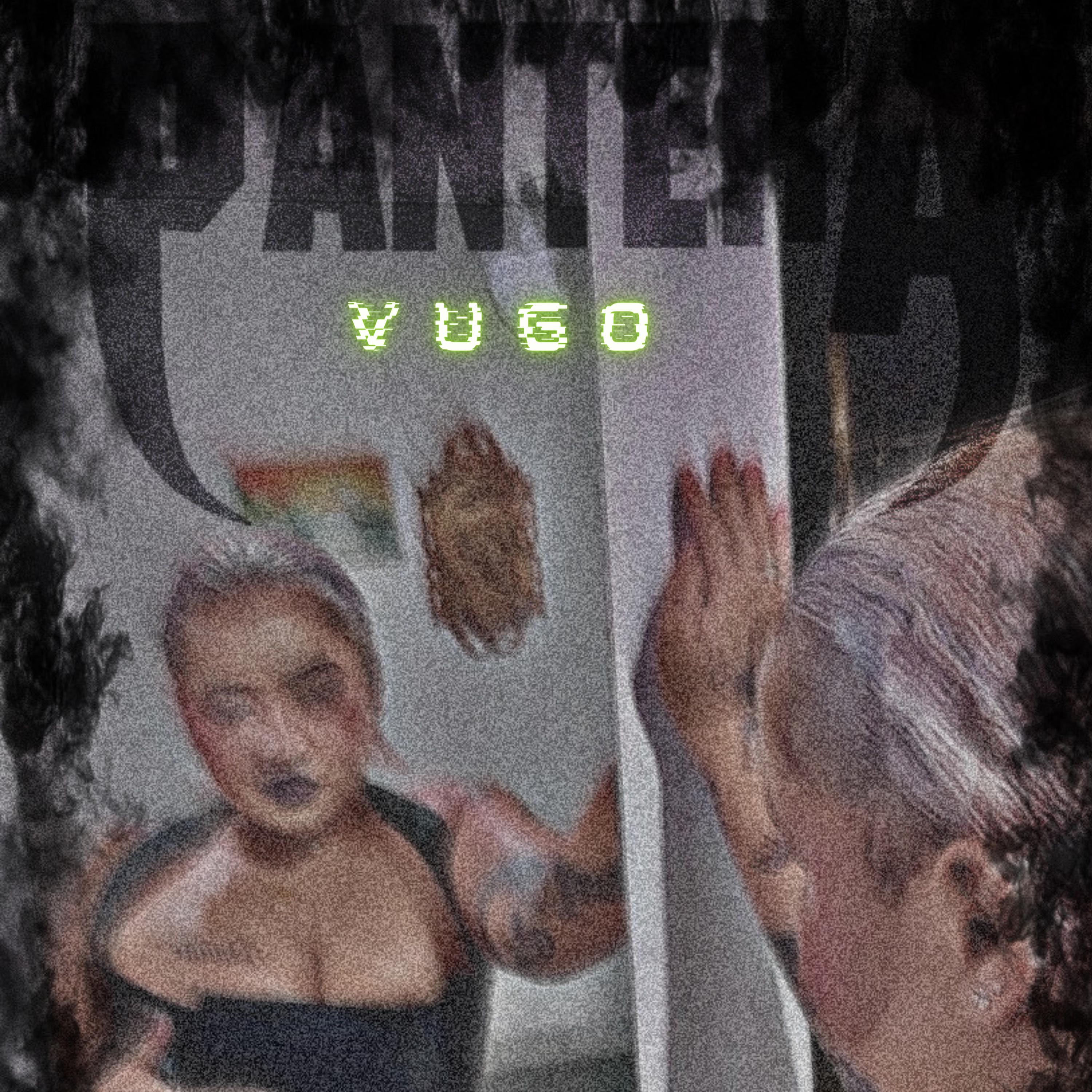 Постер альбома Vulgo Pantera