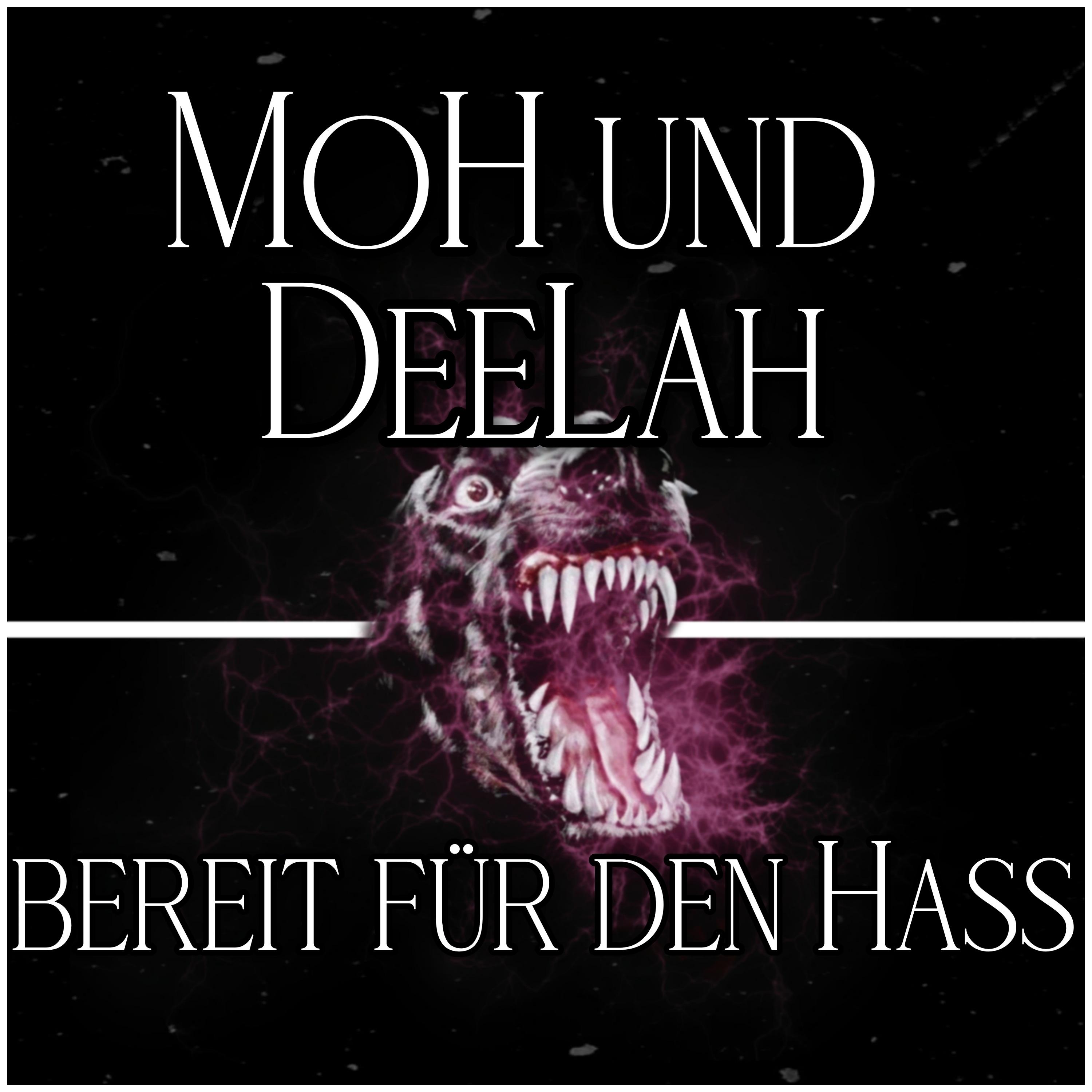 Постер альбома Bereit für den Hass