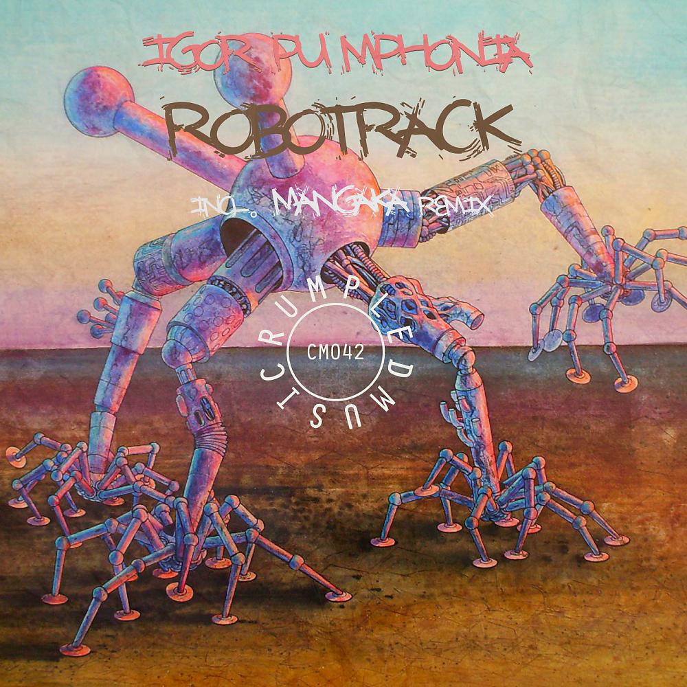 Постер альбома Robotrack