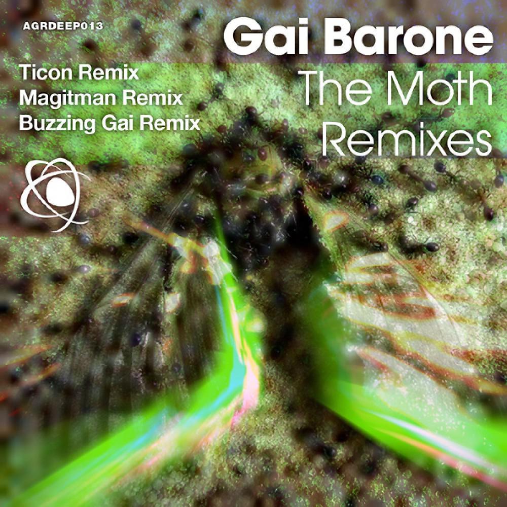 Постер альбома The Moth - Remixes