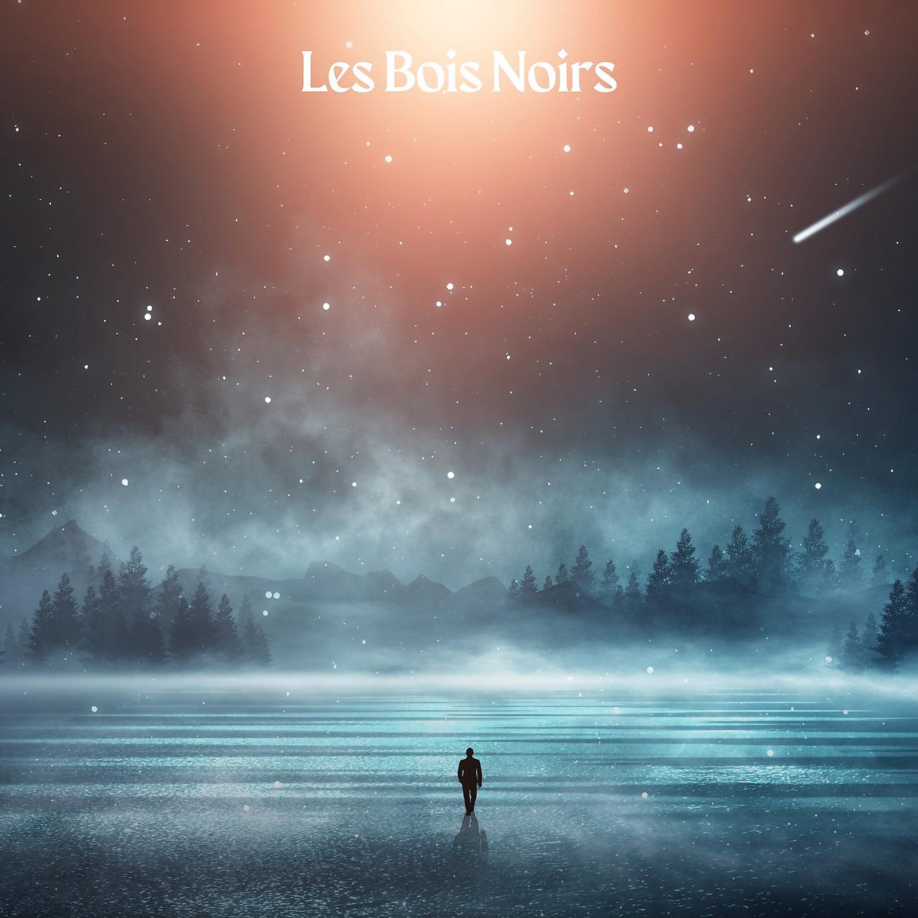Постер альбома Les Bois Noirs