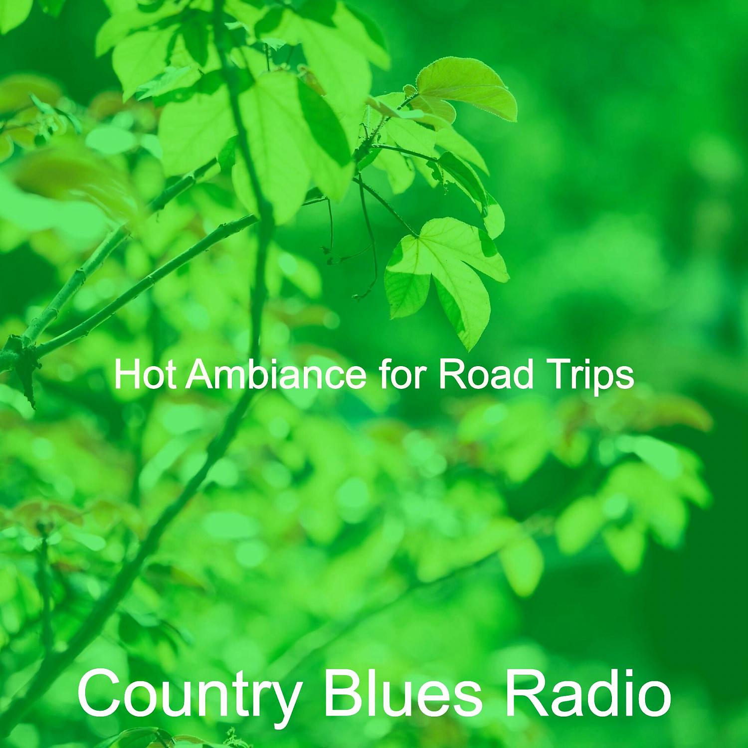 Постер альбома Hot Ambiance for Road Trips