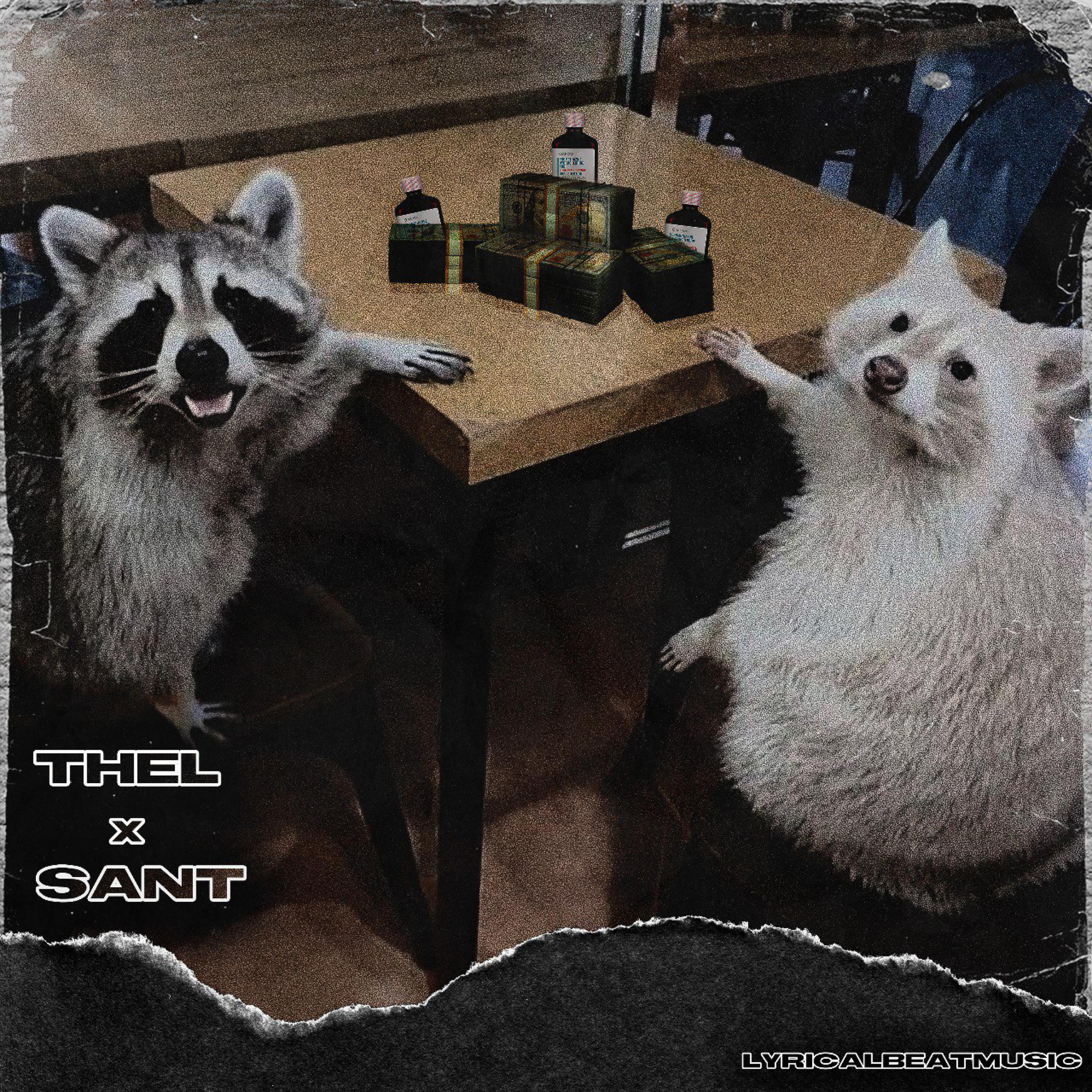 Постер альбома Raccoon Remix