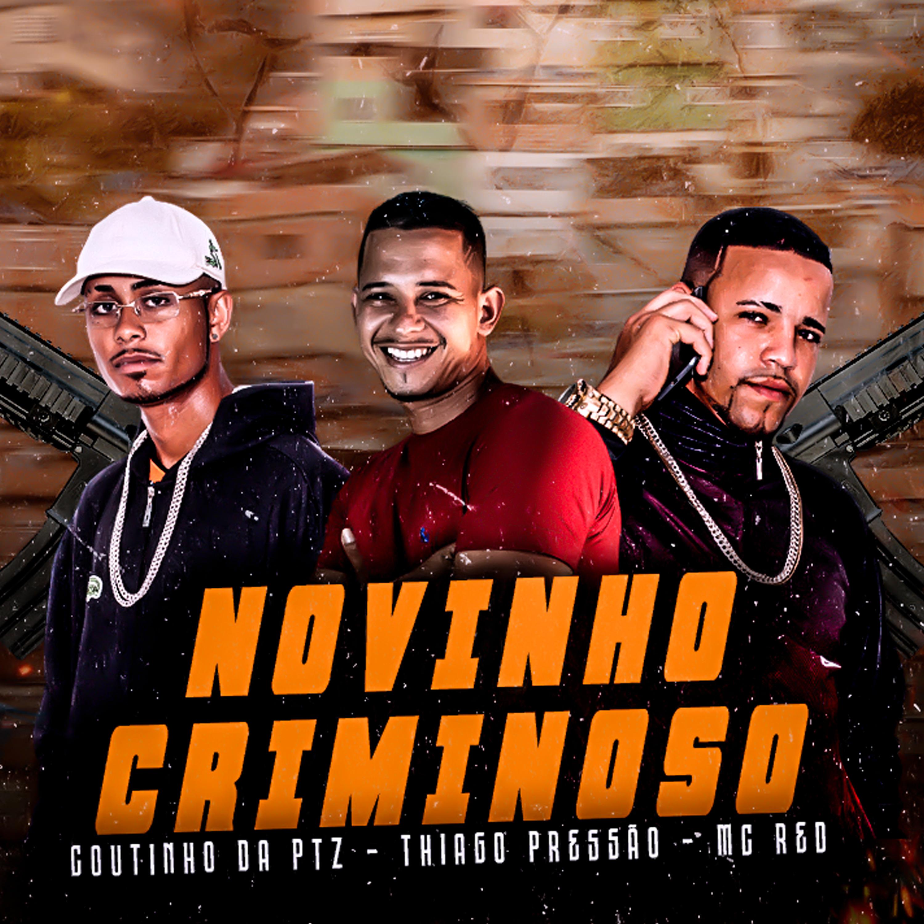 Постер альбома Novinho Criminoso