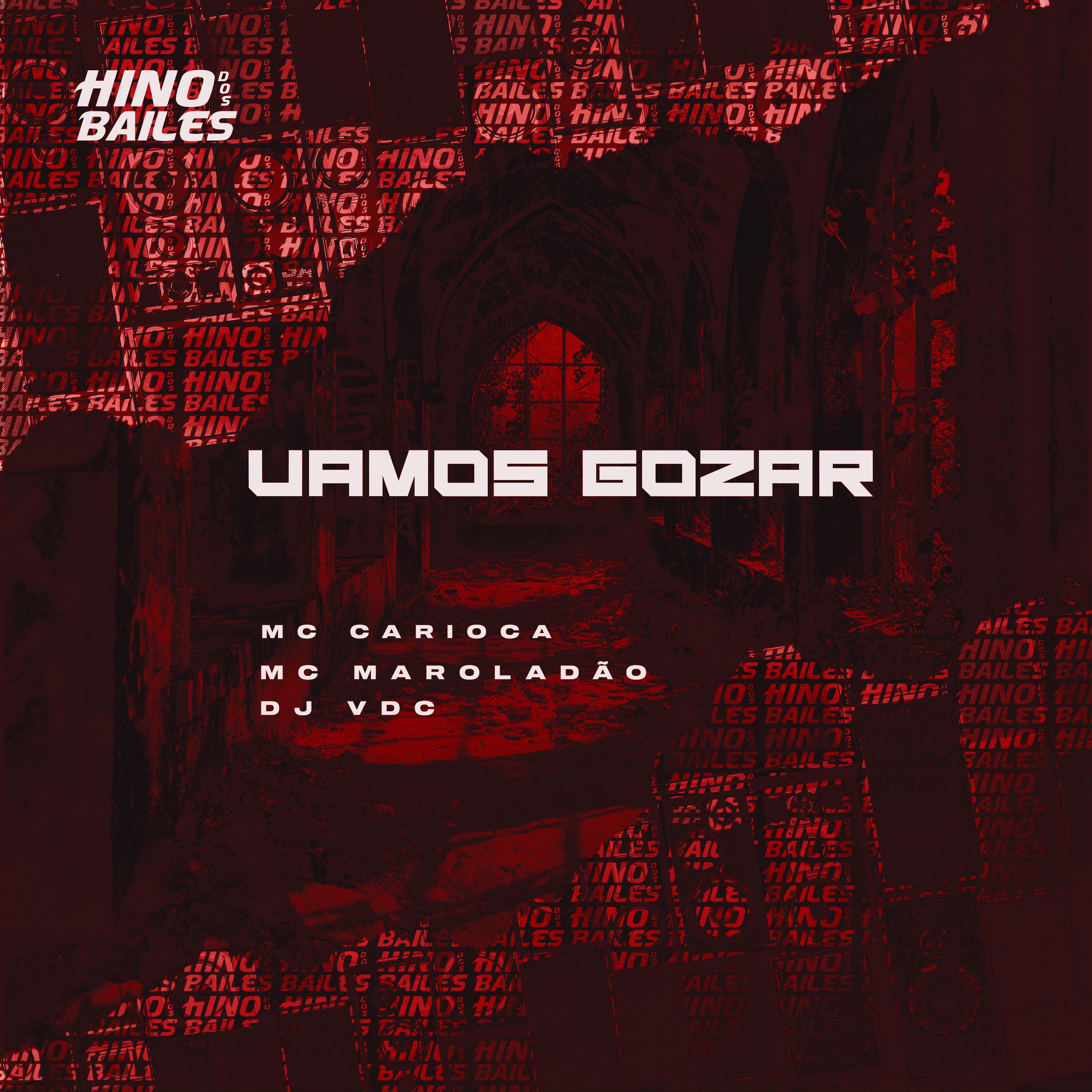 Постер альбома Vamos Gozar