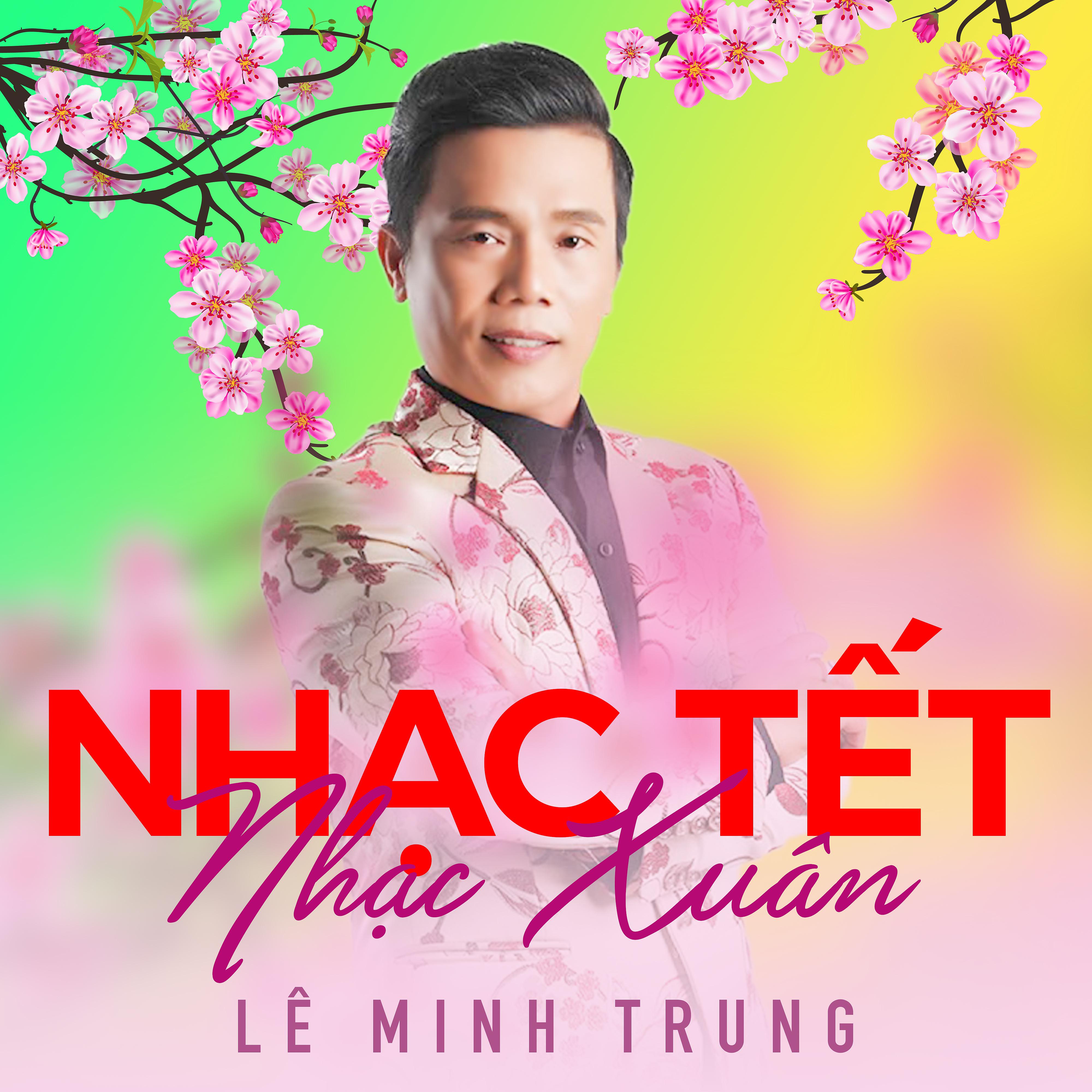 Постер альбома Nhạc Tết - Nhạc Xuân
