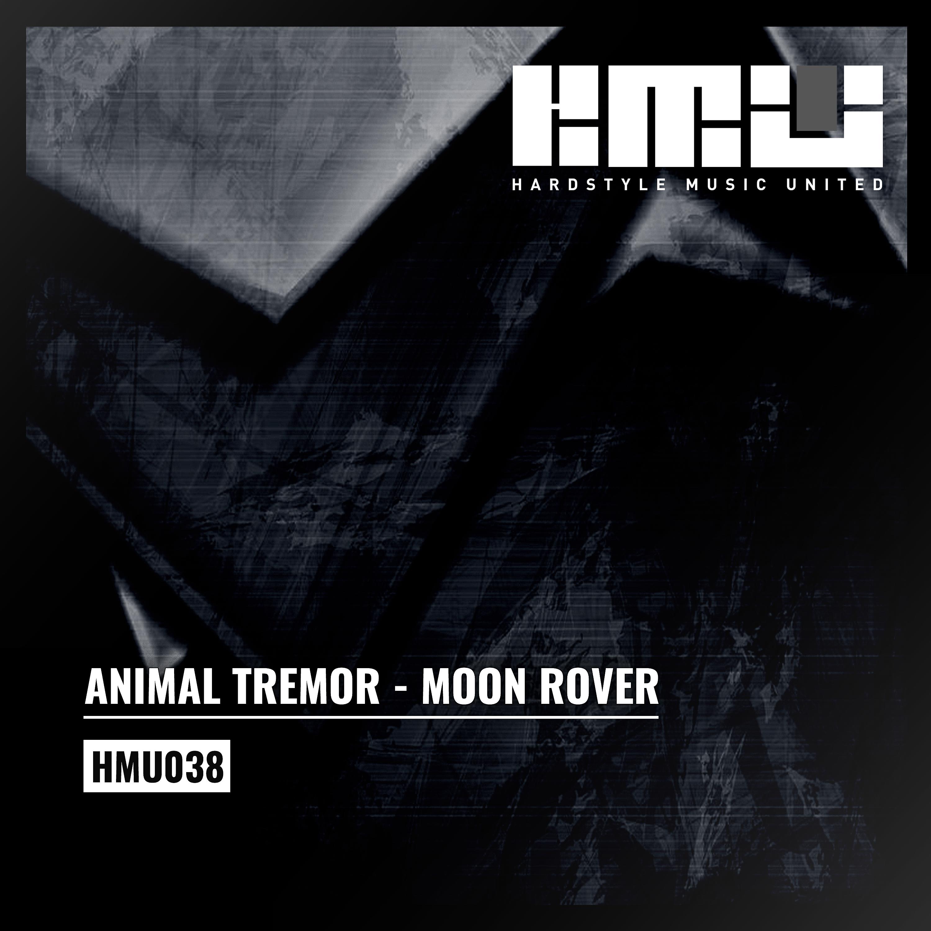 Постер альбома Moon Rover