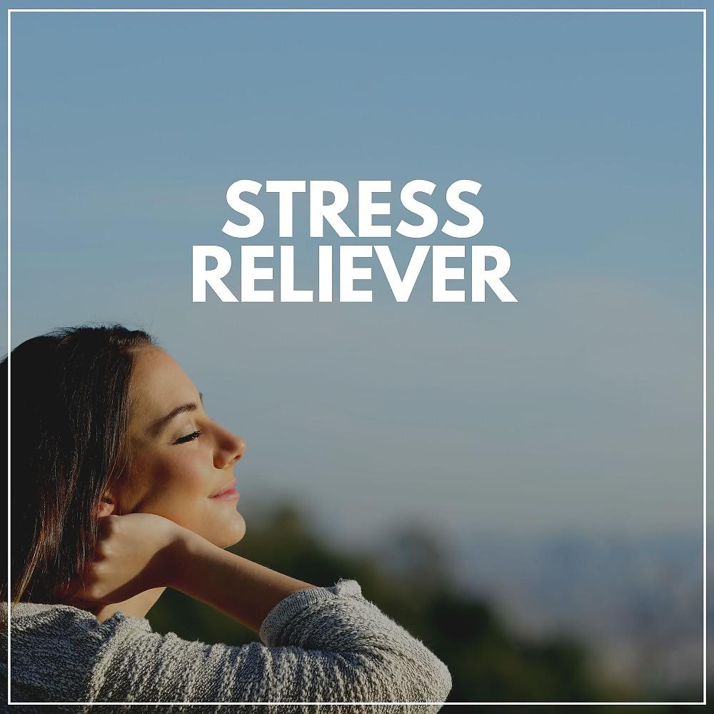 Постер альбома Stress Reliever