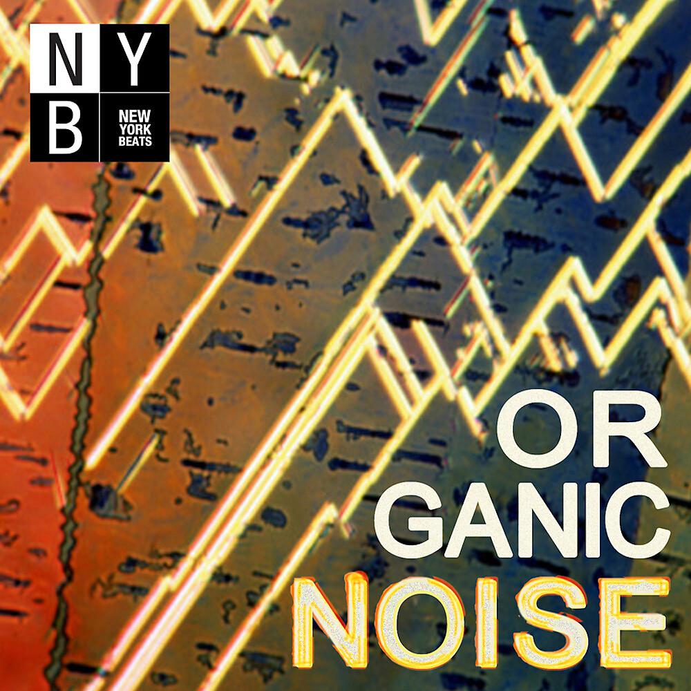 Постер альбома Organic Noise