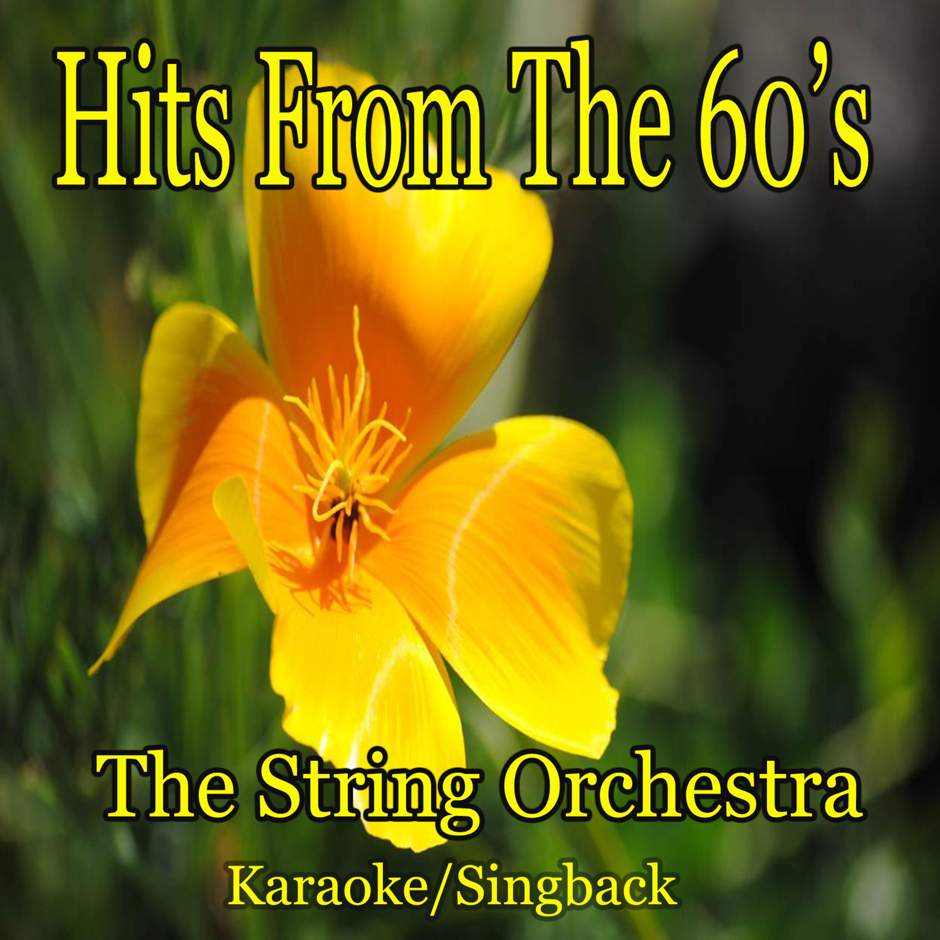 Постер альбома Hits from the 60's/Karaoke/Singback