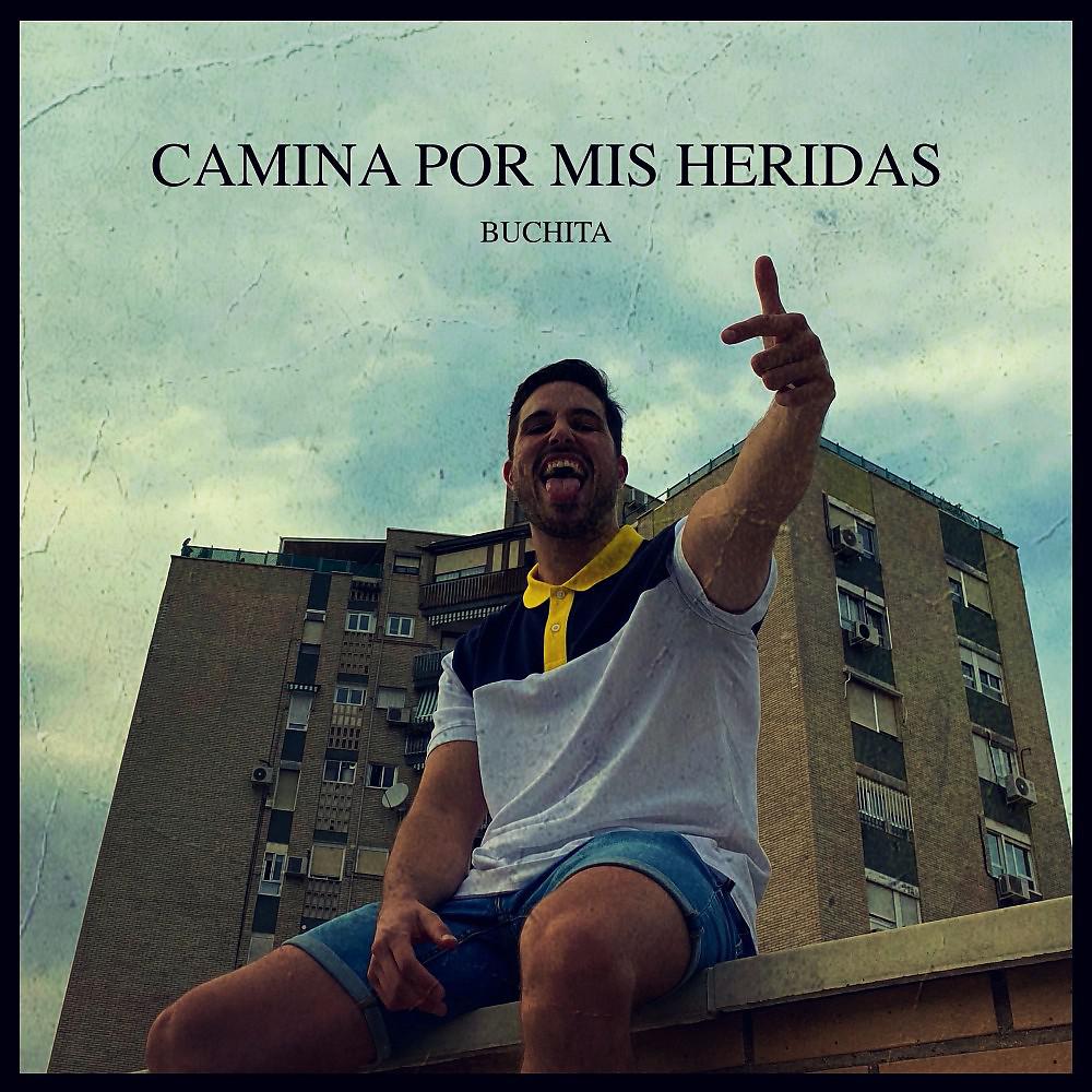 Постер альбома Camina por Mis Heridas
