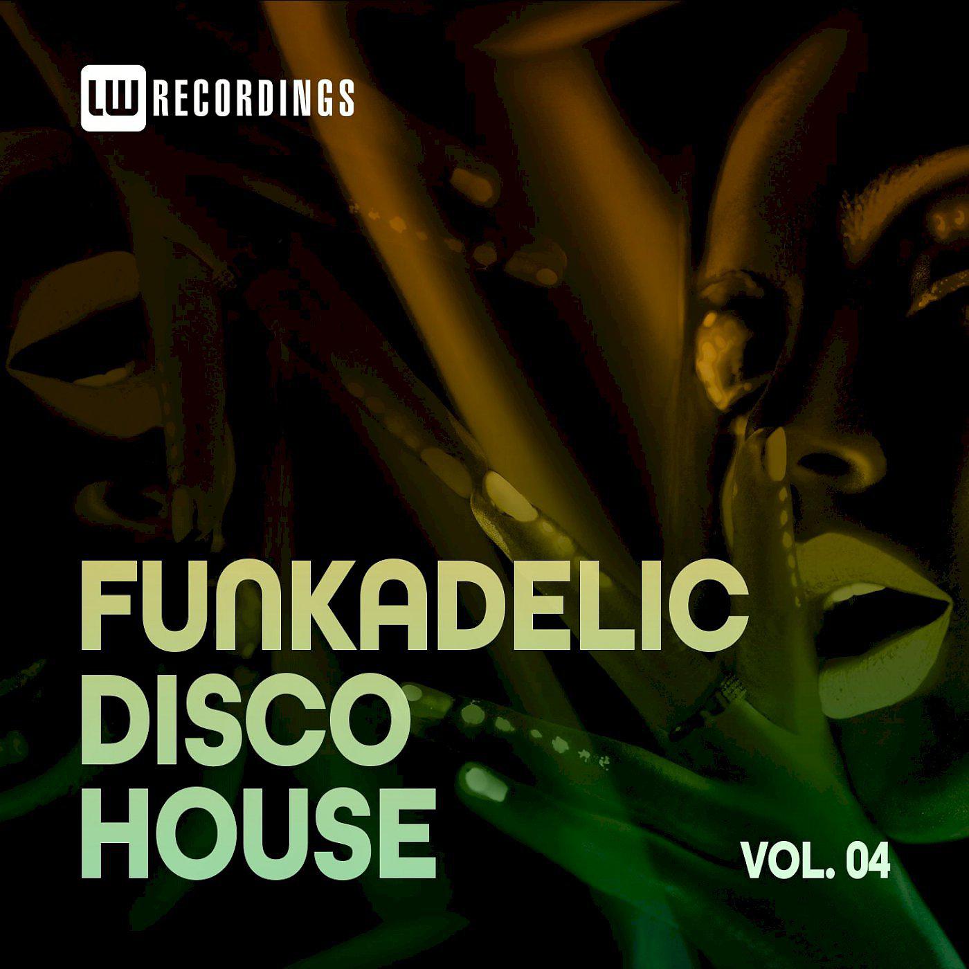 Постер альбома Funkadelic Disco House, 04