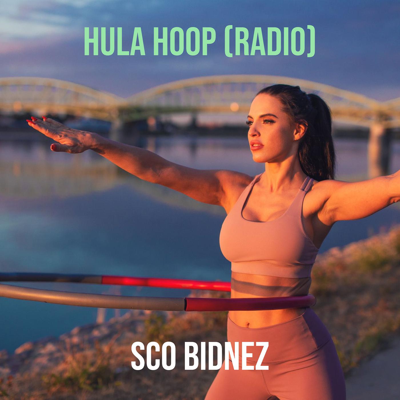 Постер альбома Hula Hoop (Radio Edit)