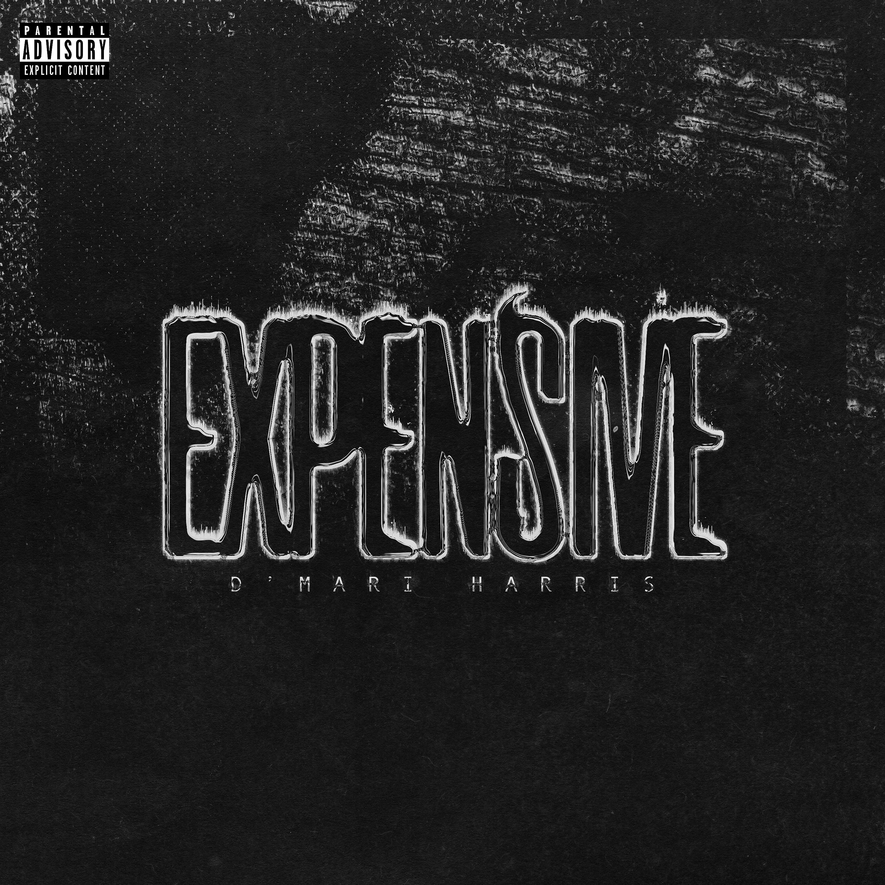 Постер альбома Expensive (feat. Razelle)