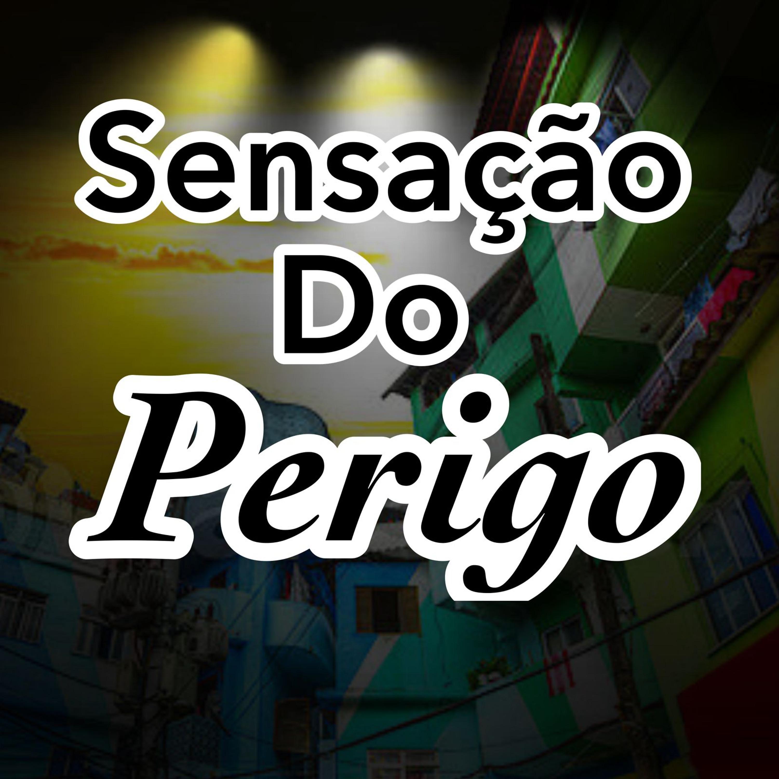 Постер альбома Sensação do Perigo