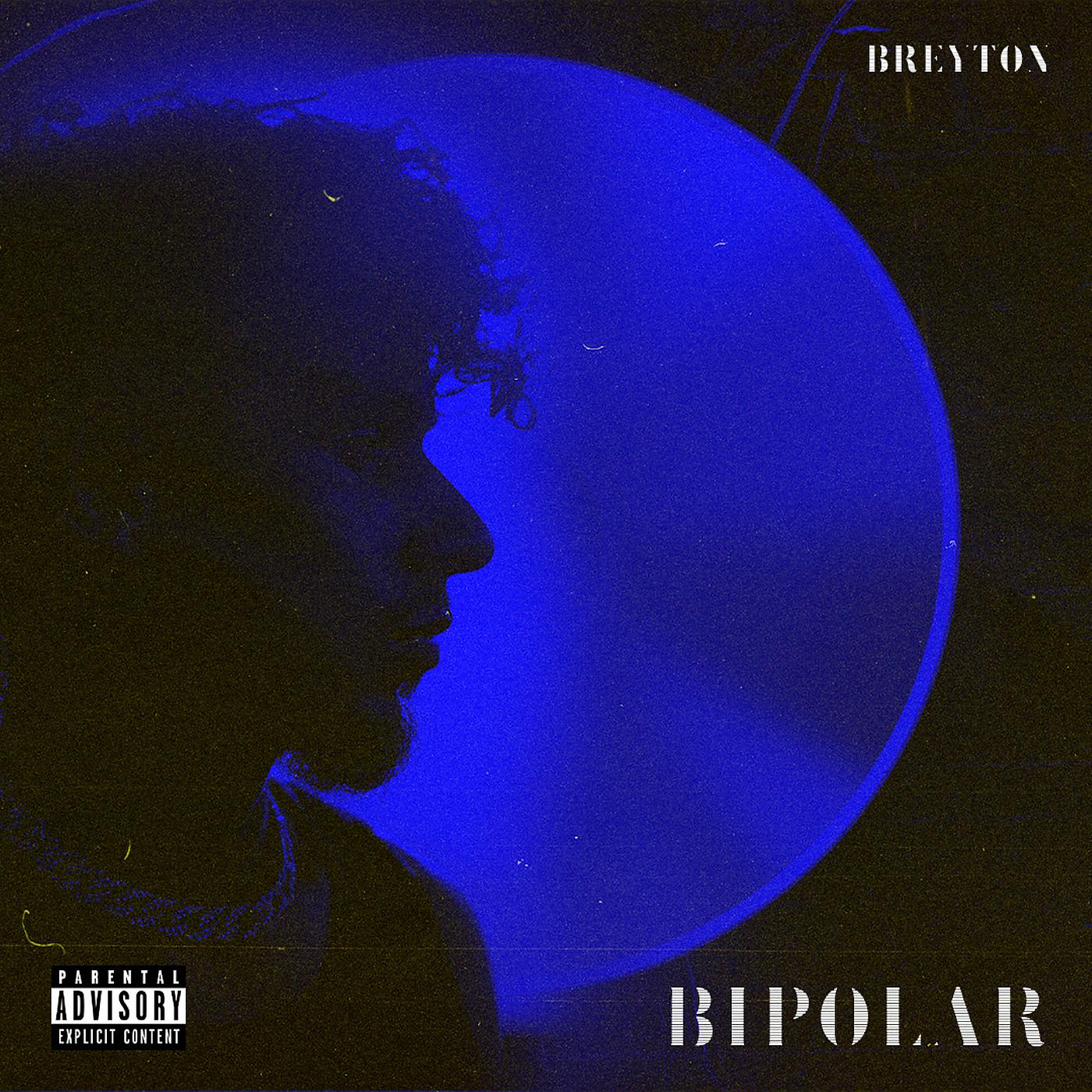 Постер альбома Bipolar