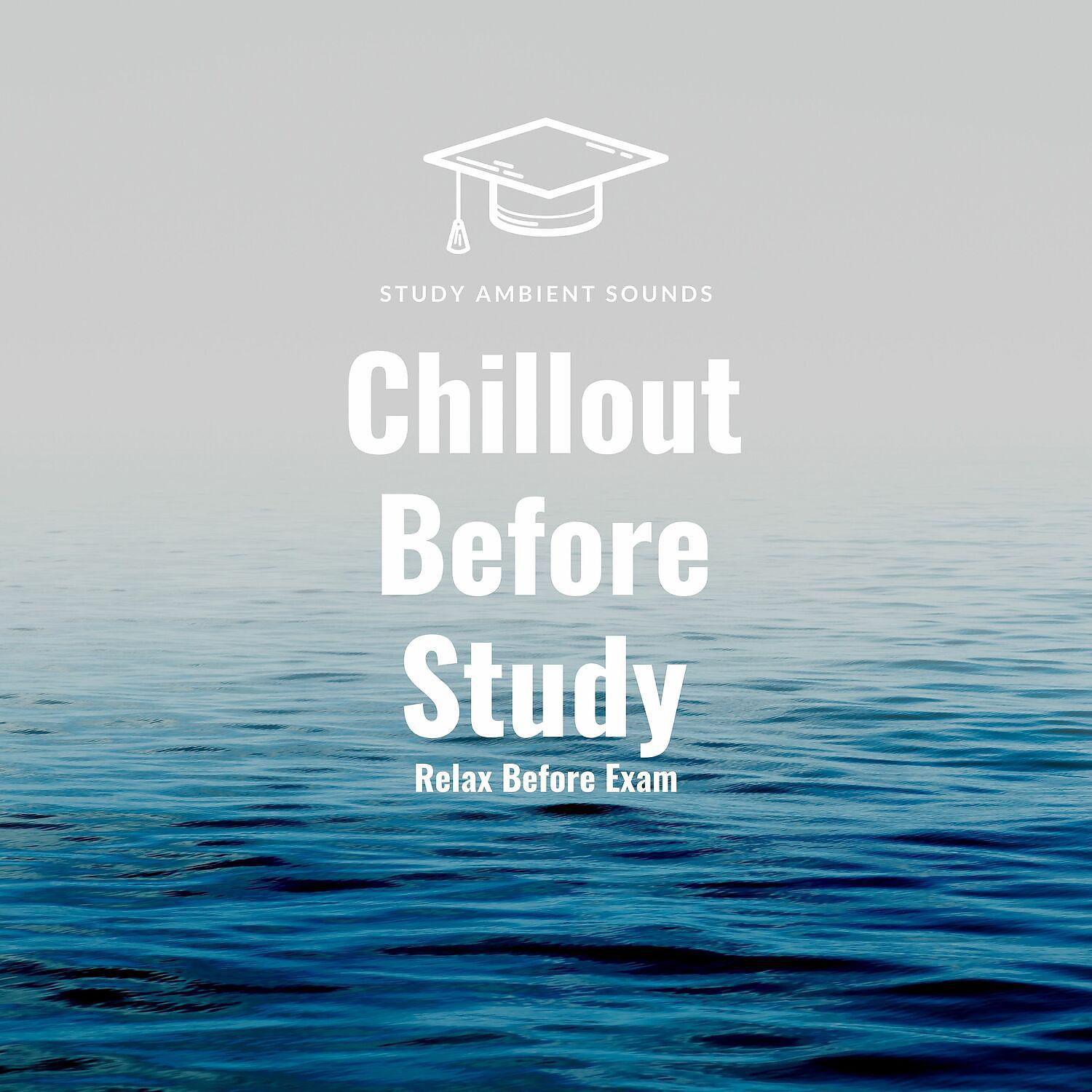 Постер альбома Chillout Before Study - Relax Before Exam