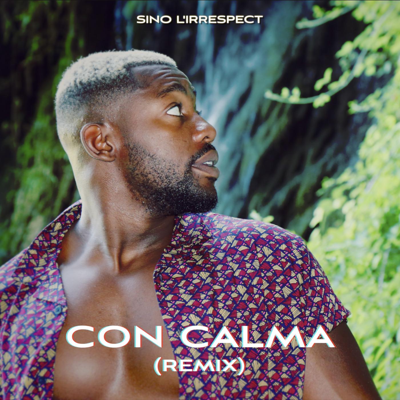 Постер альбома Con Calma (remix)