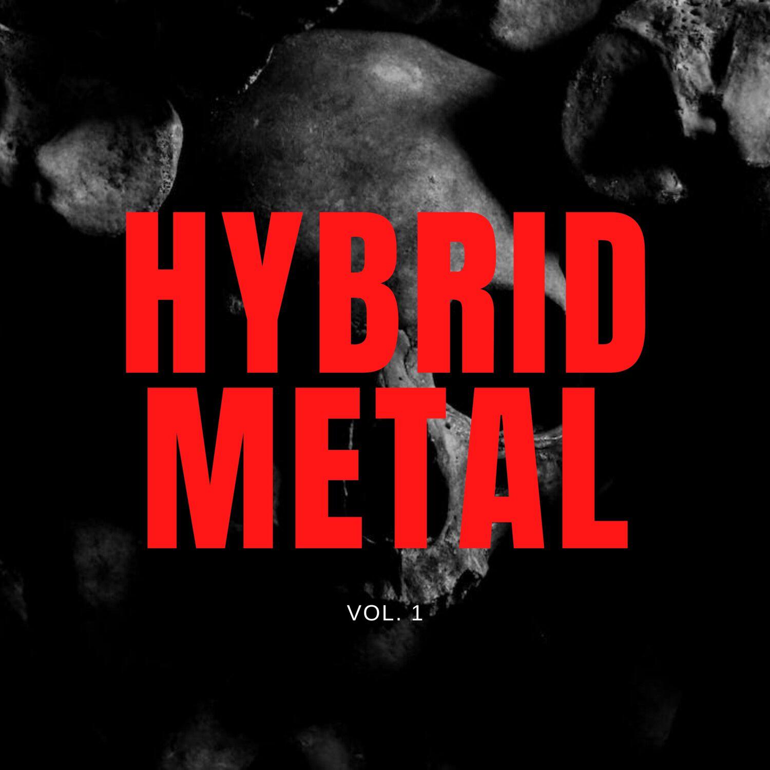 Постер альбома Hybrid Metal, Vol. 01