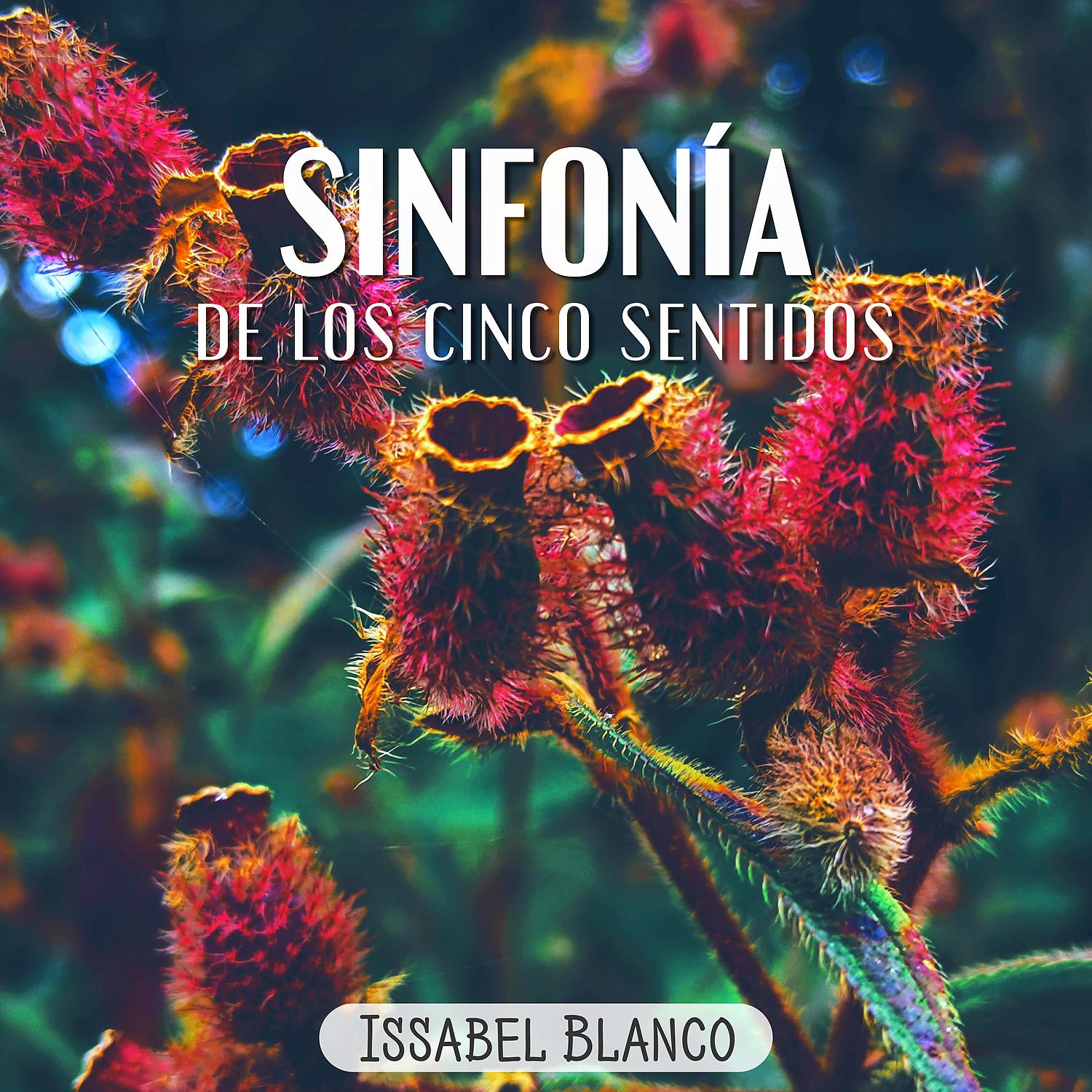 Постер альбома Sinfonía de los Cinco Sentidos