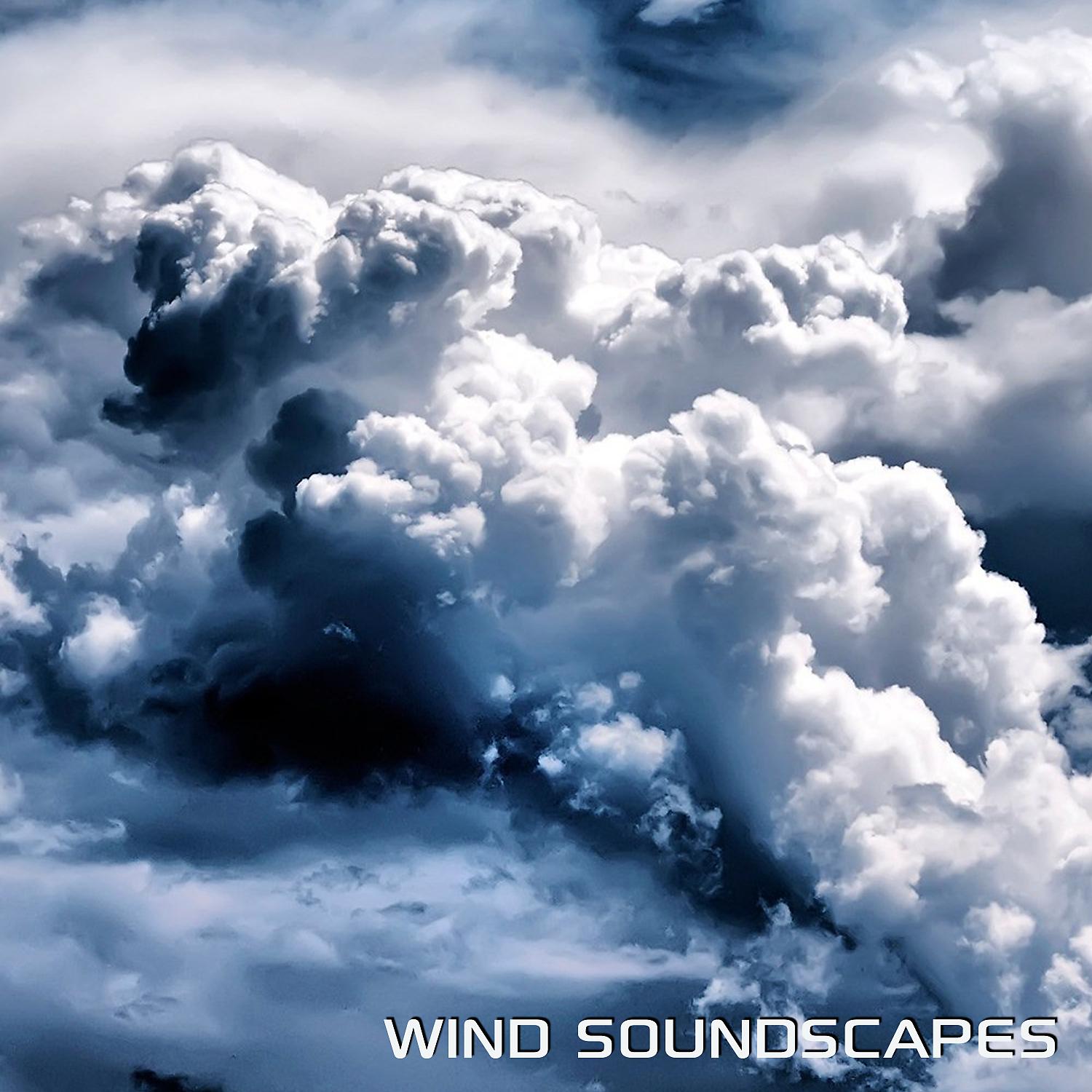 Постер альбома Wind Soundscapes (feat. Discovery Nature Soundscapes)