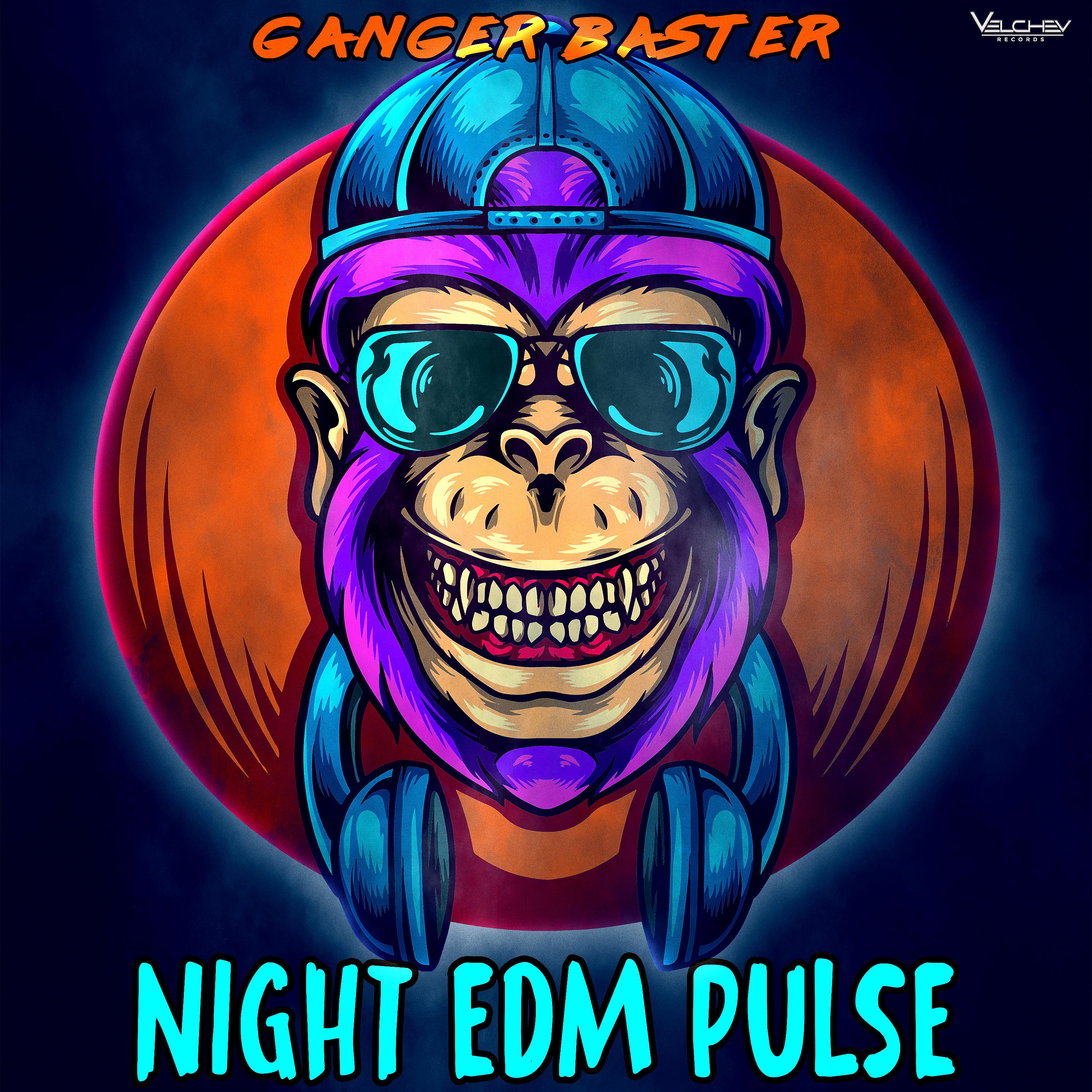 Постер альбома Night Edm Pulse