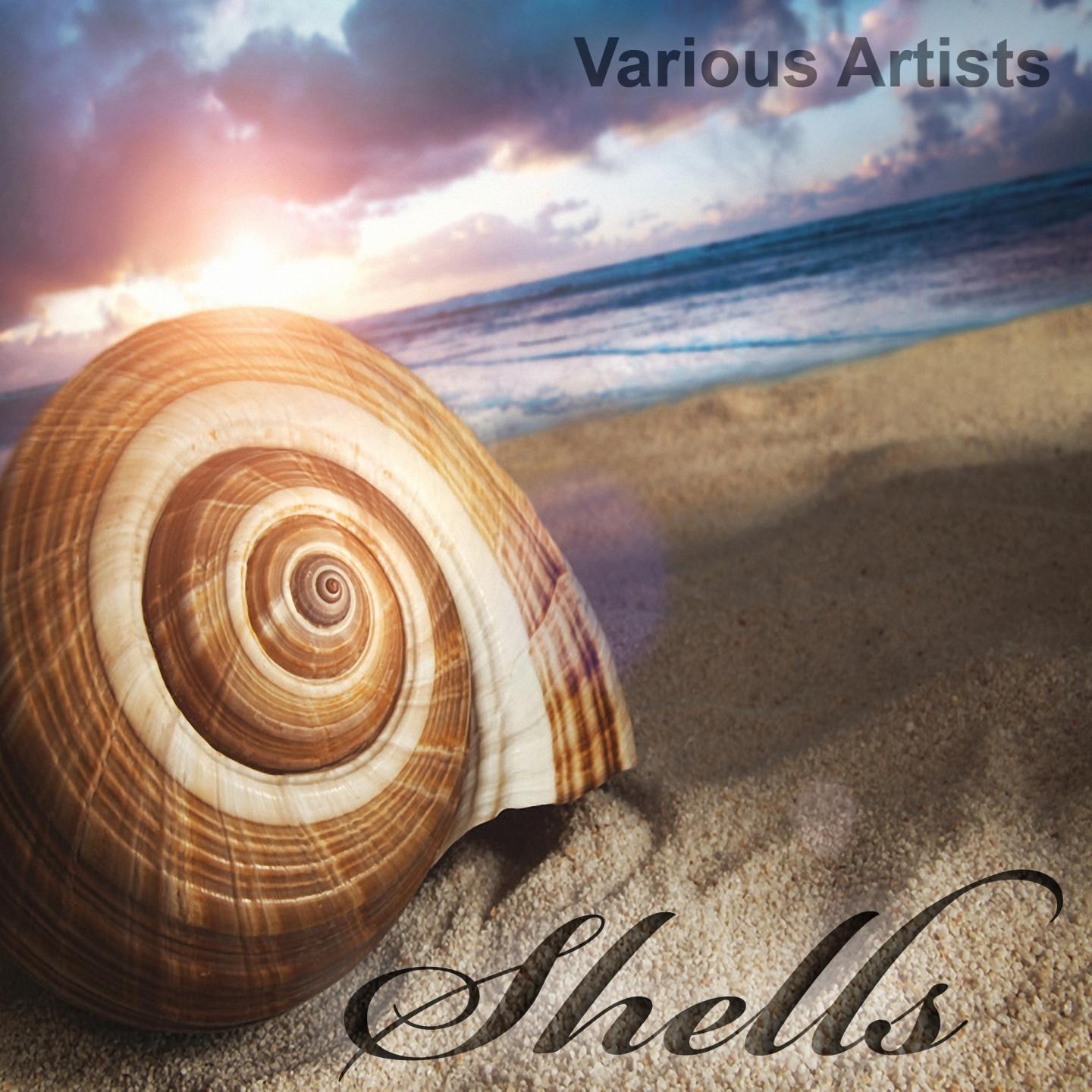 Постер альбома Shells