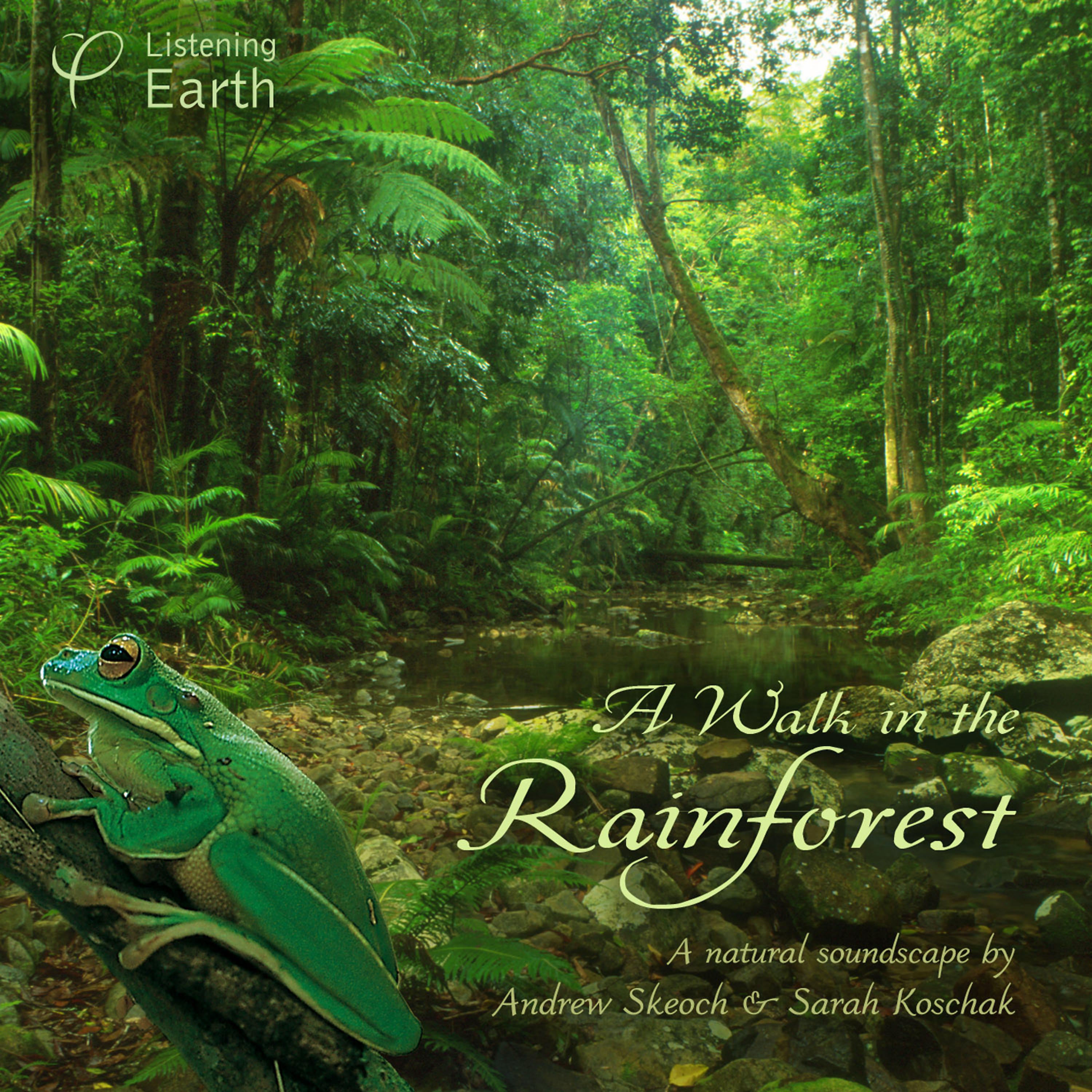 Постер альбома A Walk in the Rainforest