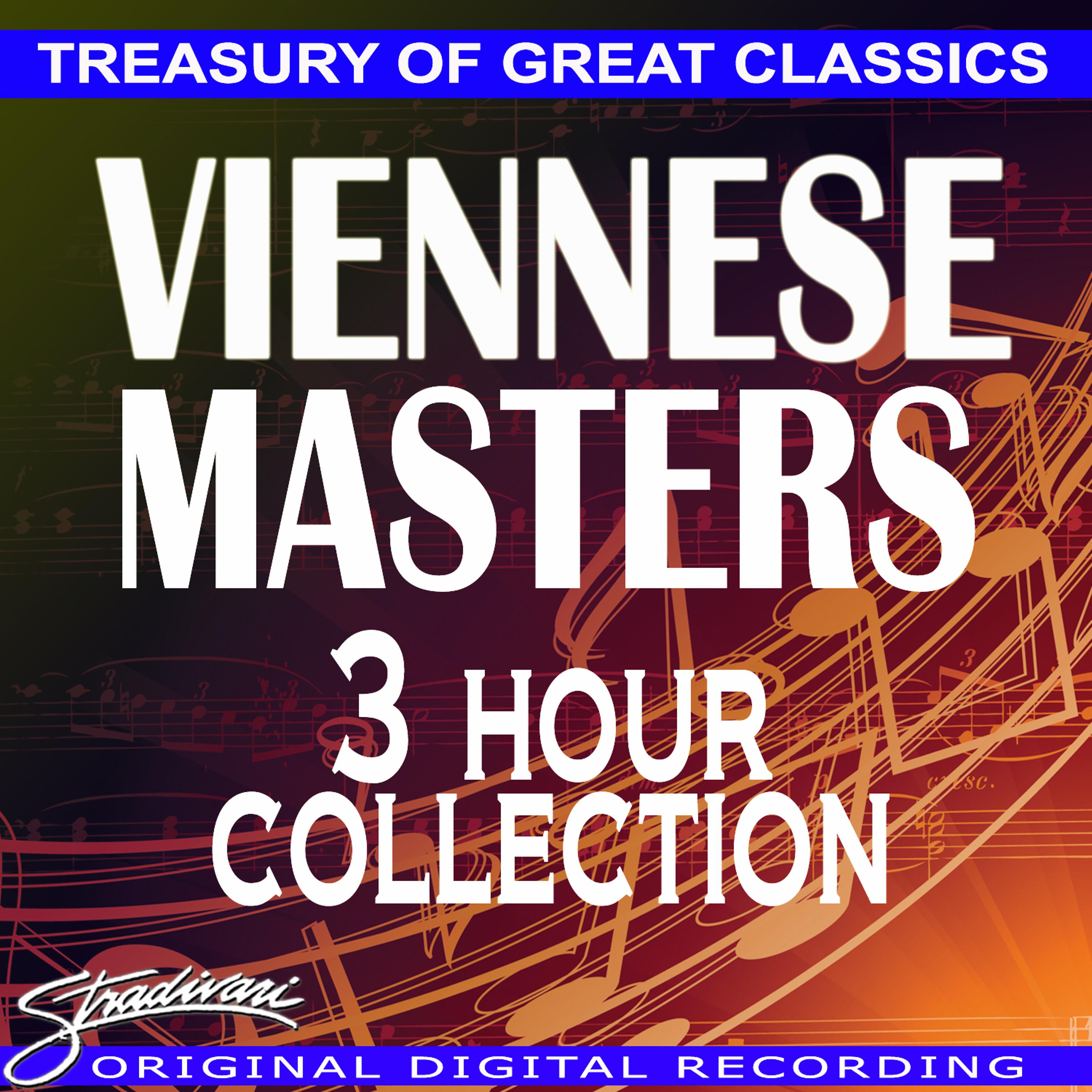 Постер альбома Viennese Masters