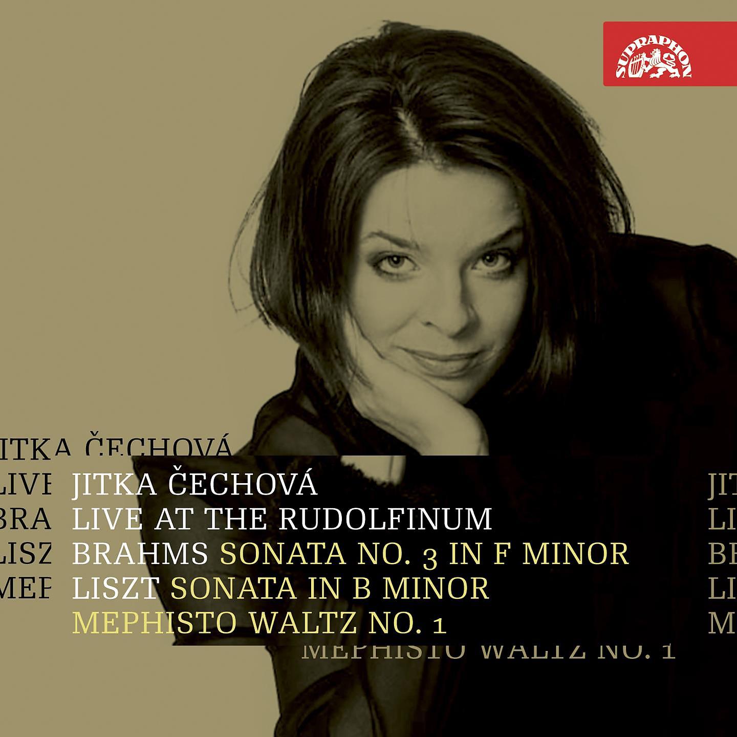 Постер альбома Brahms, Liszt: Live at the Rudolfinum