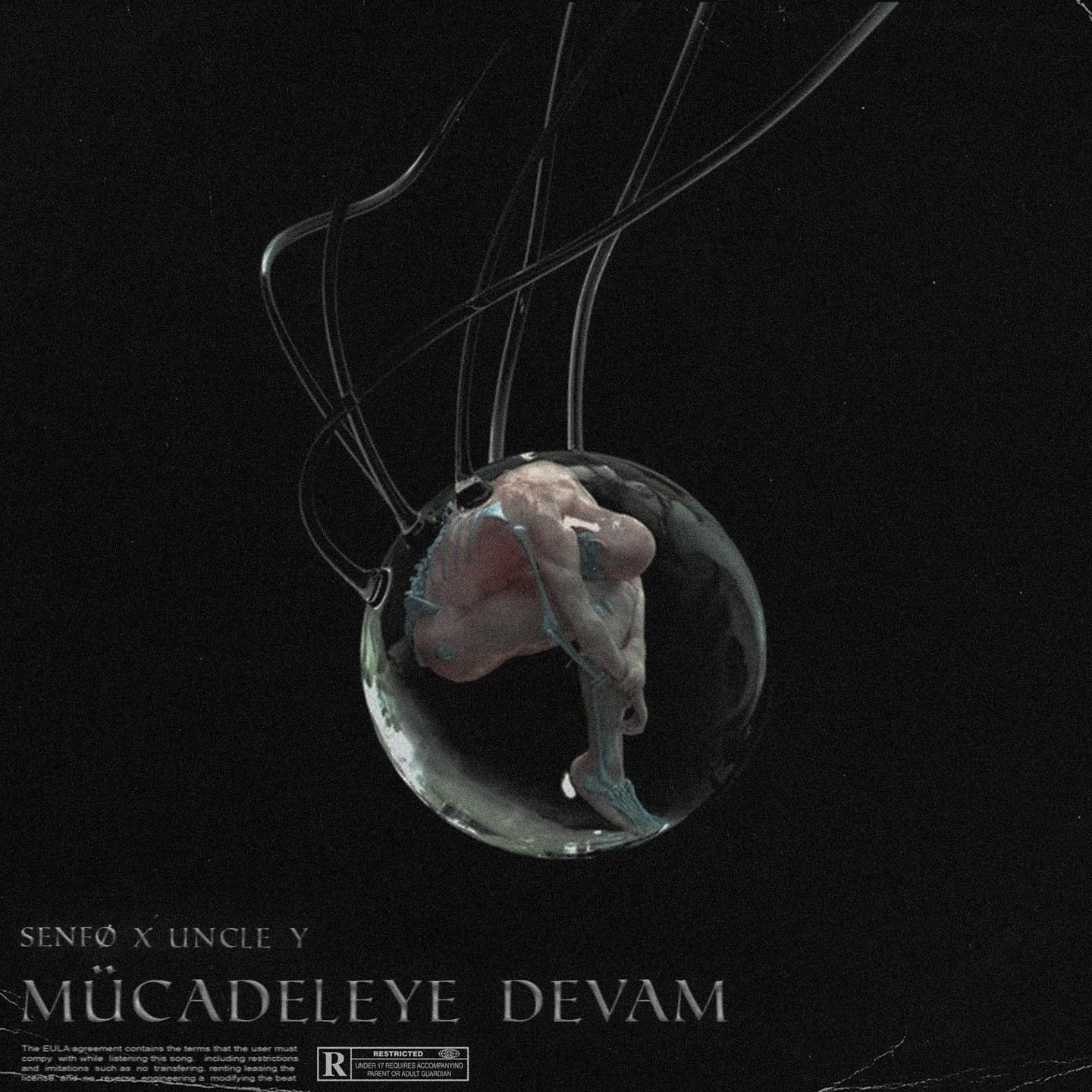 Постер альбома Mücadeleye Devam