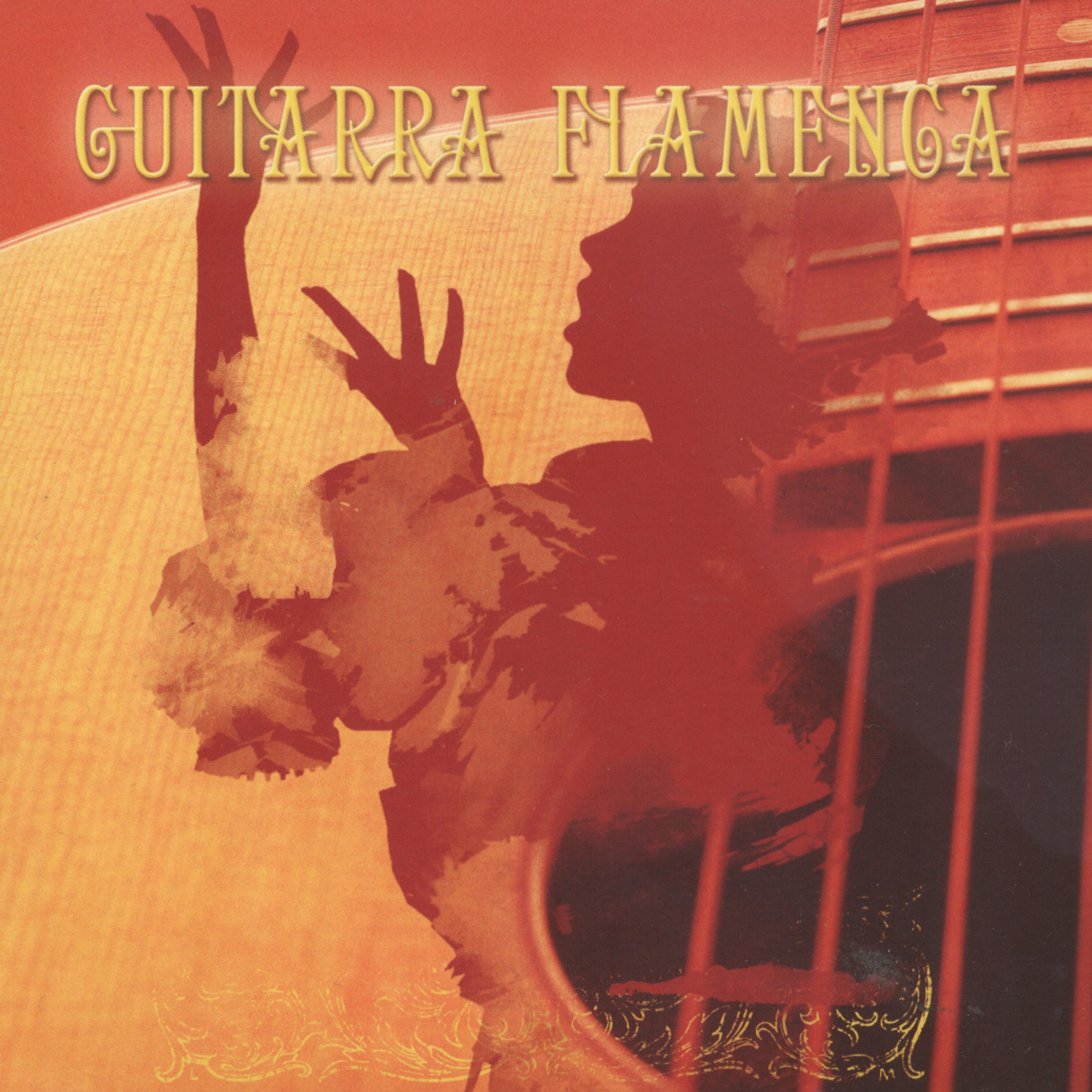 Постер альбома Éxitos de la Guitarra Flamenca (Hits of Flamenco Guitar)