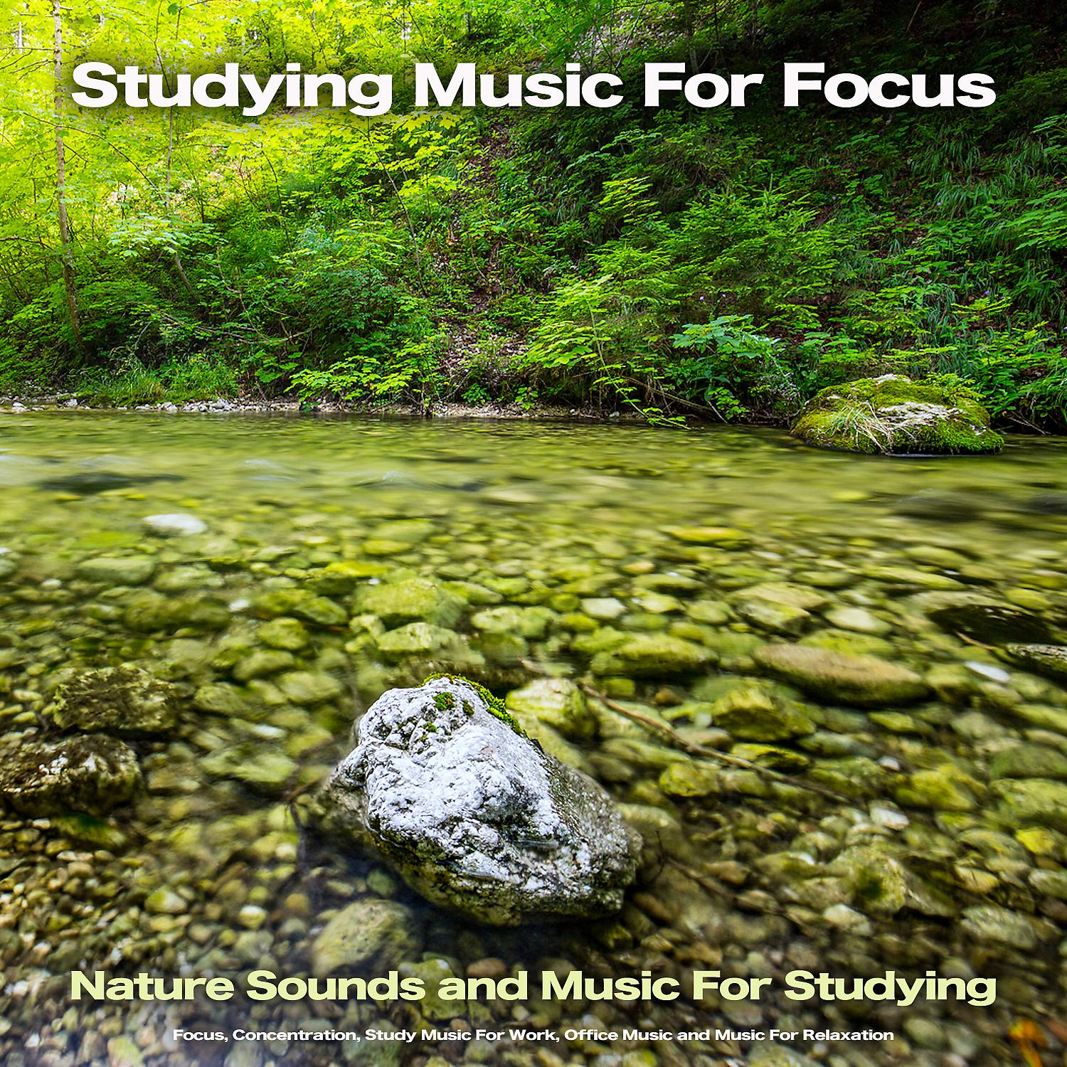 Постер альбома Studying Music For Focus: Nature Sounds and Music For Studying, Focus, Concentration, Study Music For Work, Office Music and Music For Relaxation