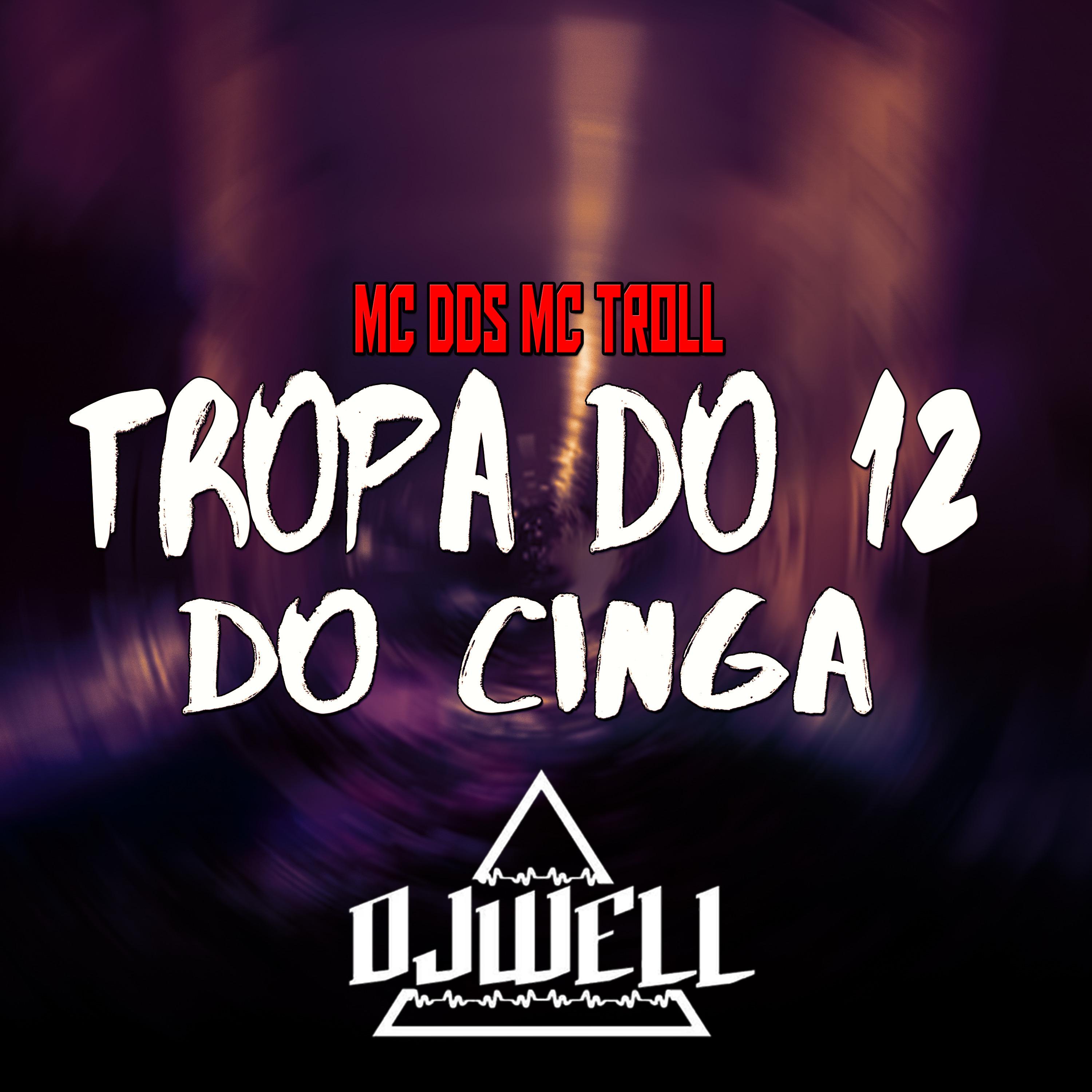 Постер альбома Tropa do 12 do Cinga