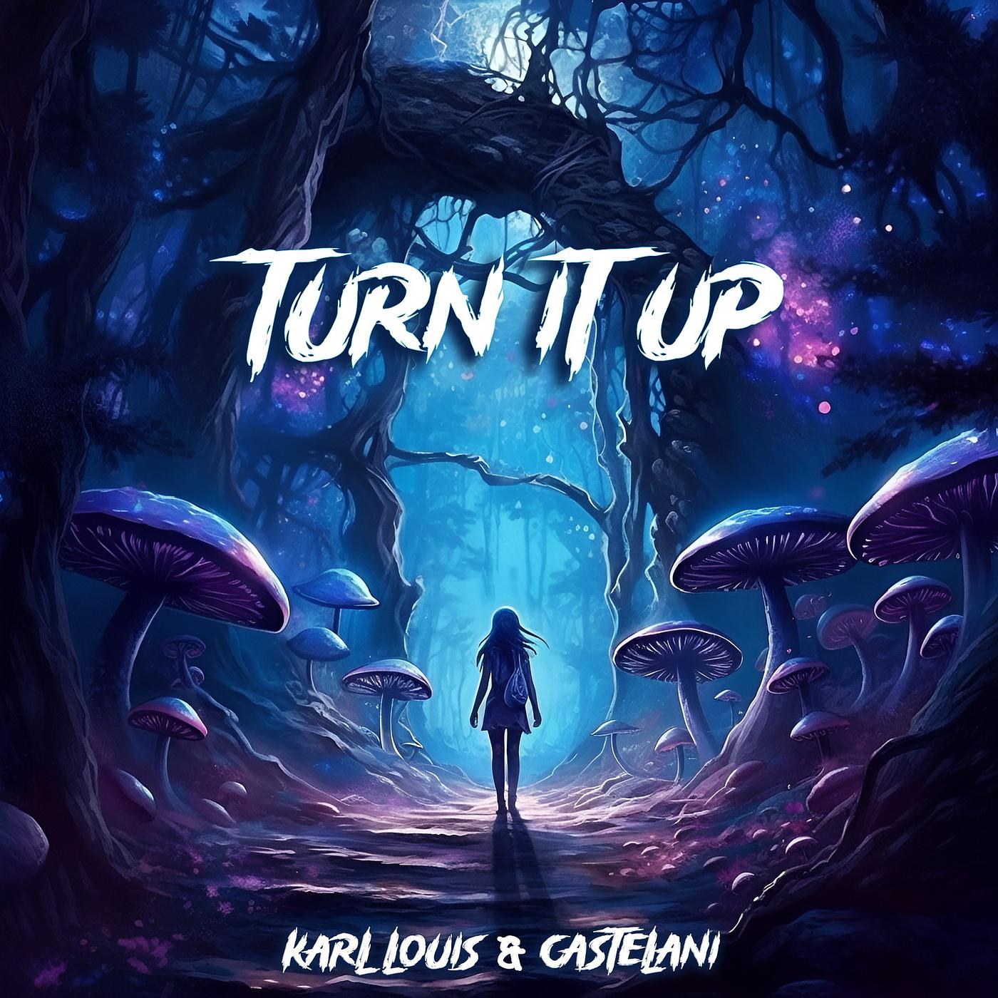 Постер альбома Turn It Up
