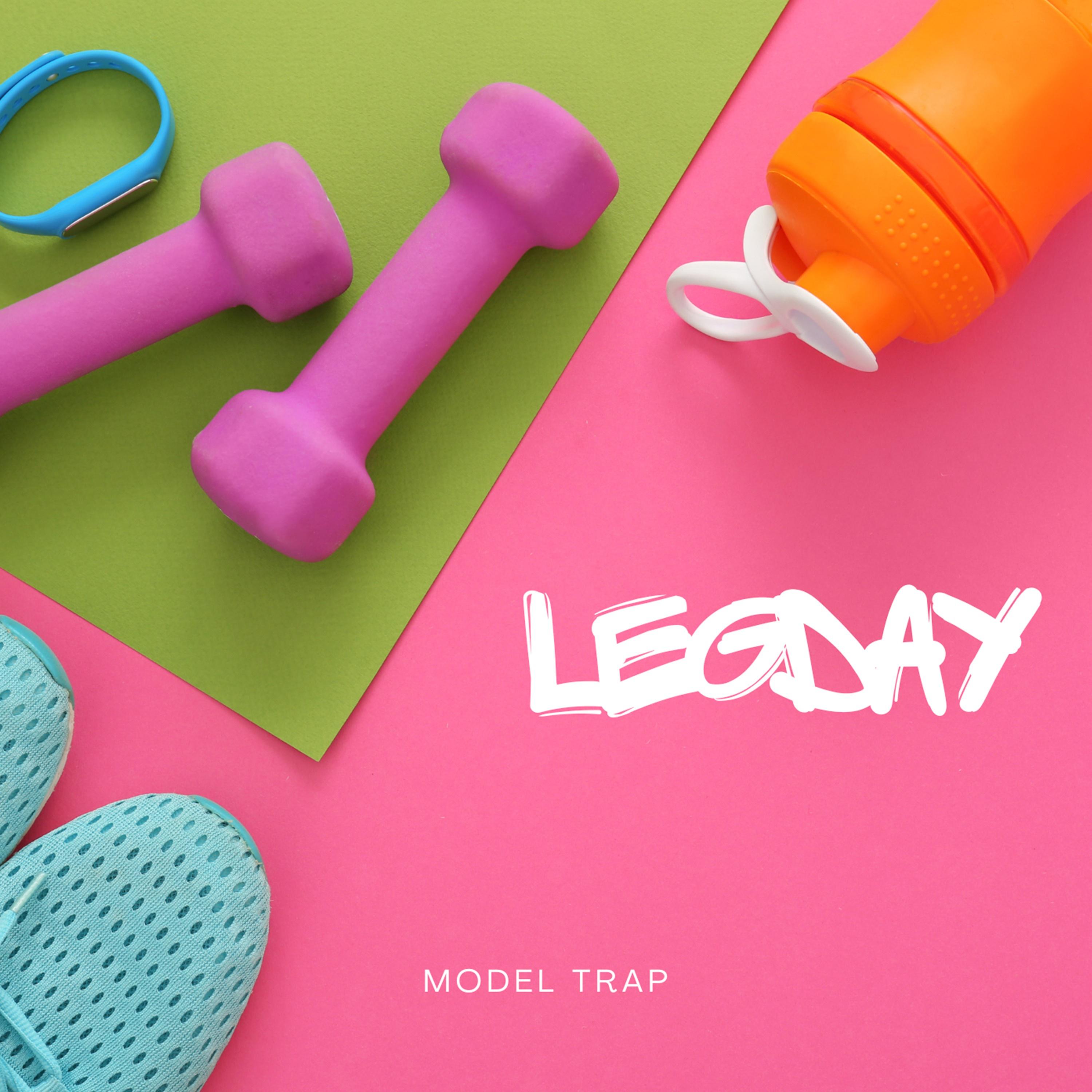 Постер альбома Legday