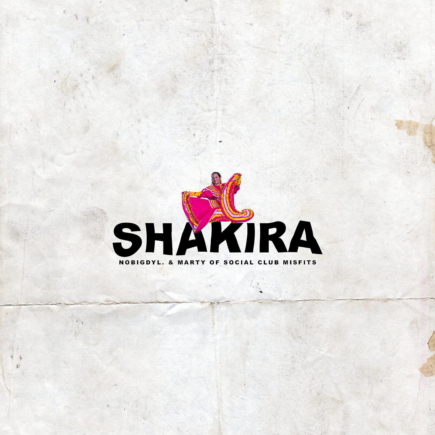 Постер альбома Shakira (feat. Marty)
