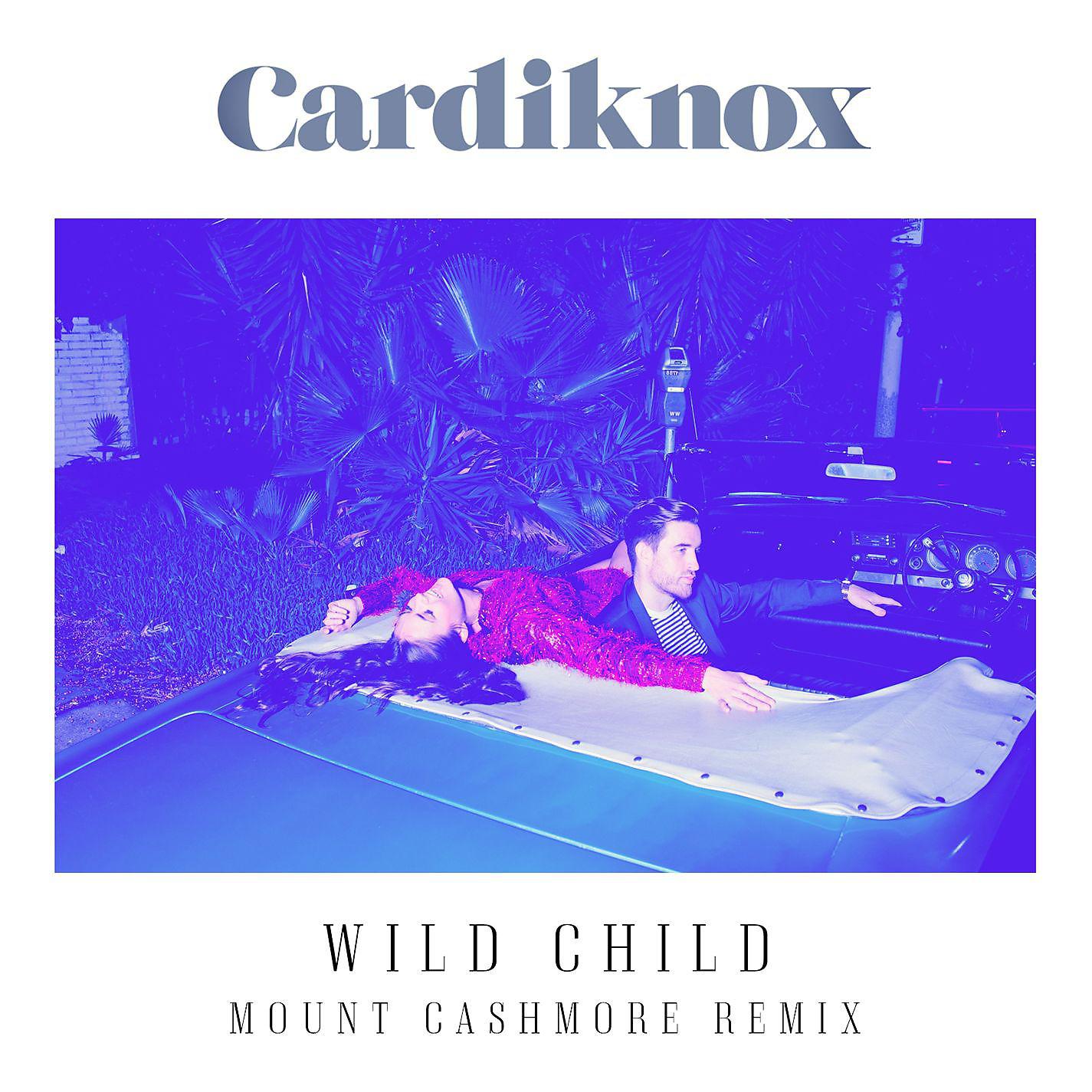 Постер альбома Wild Child (Mount Cashmore Remix)