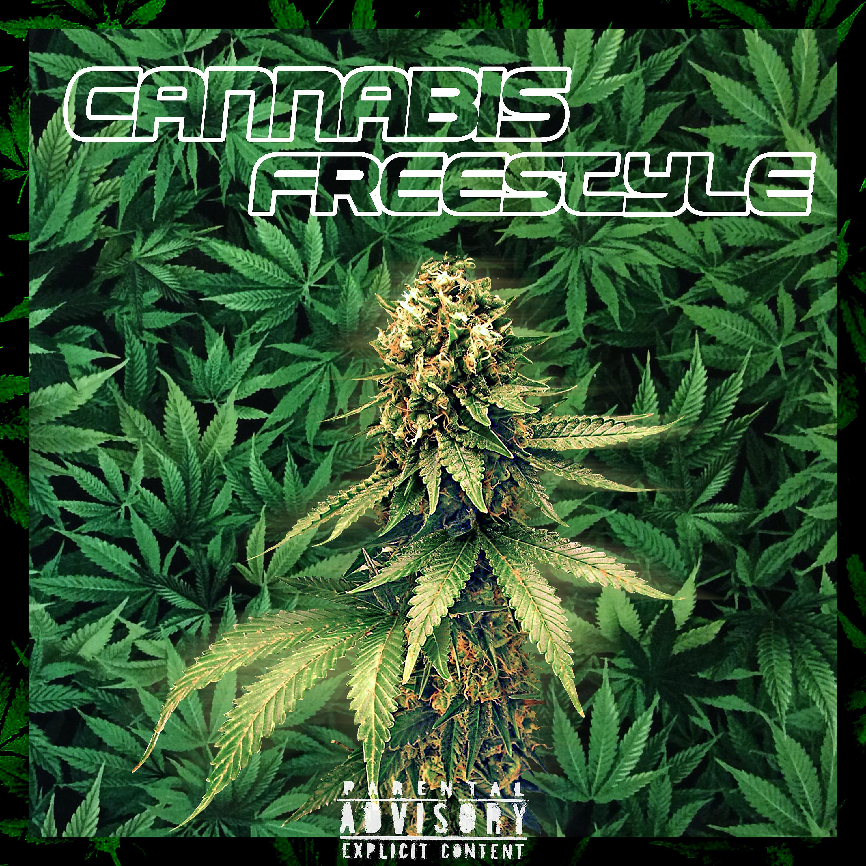 Постер альбома Cannabis Freestyle