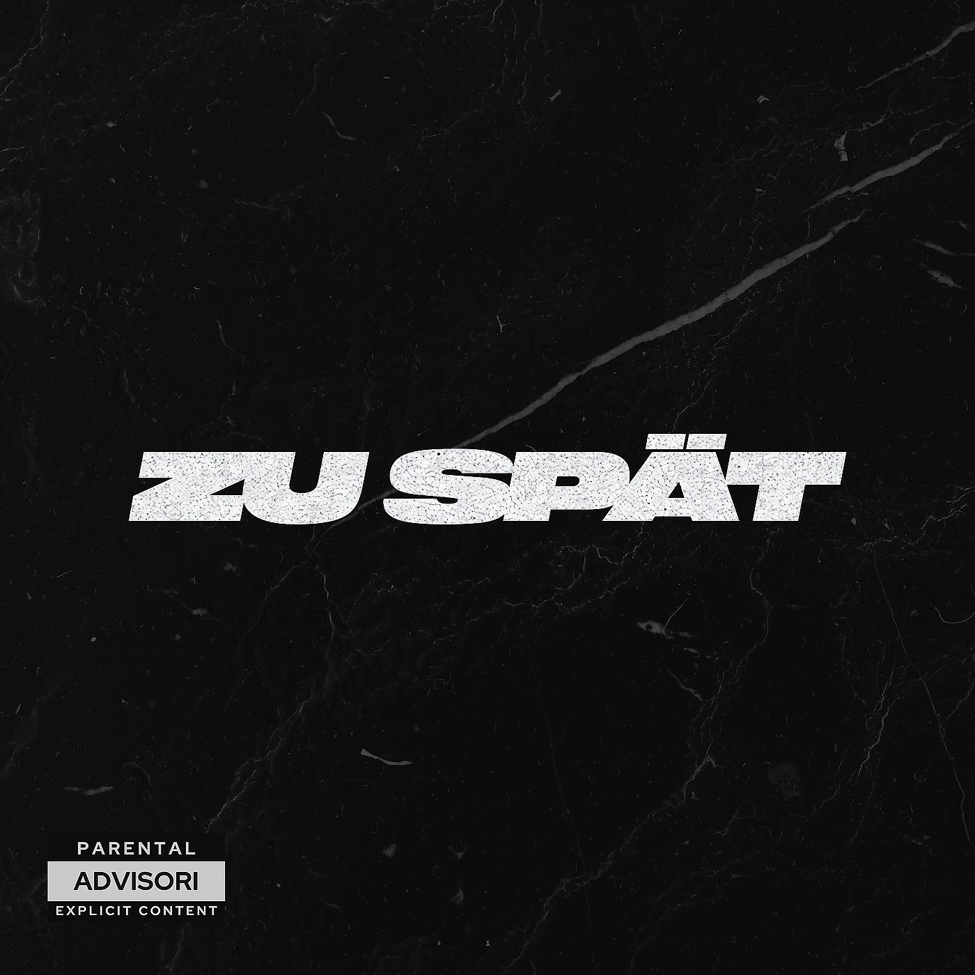Постер альбома Zu Spät