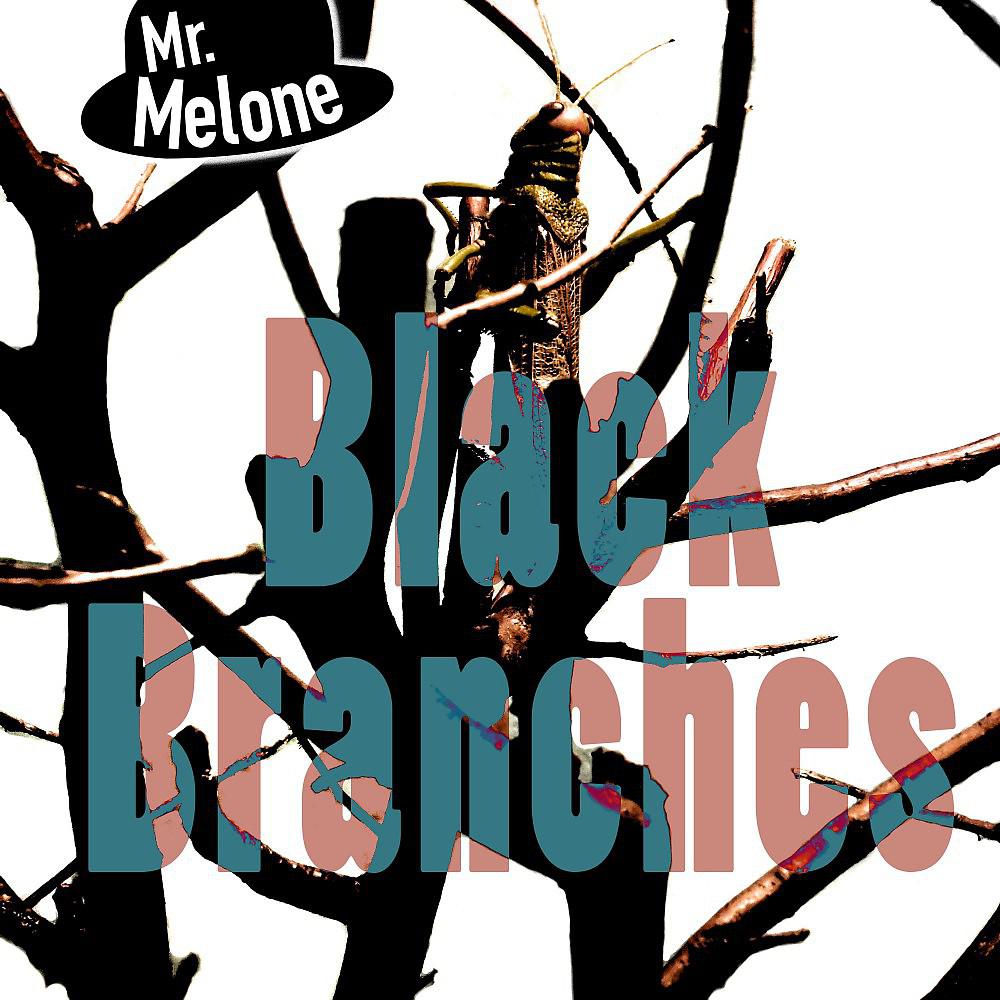 Постер альбома Black Branches