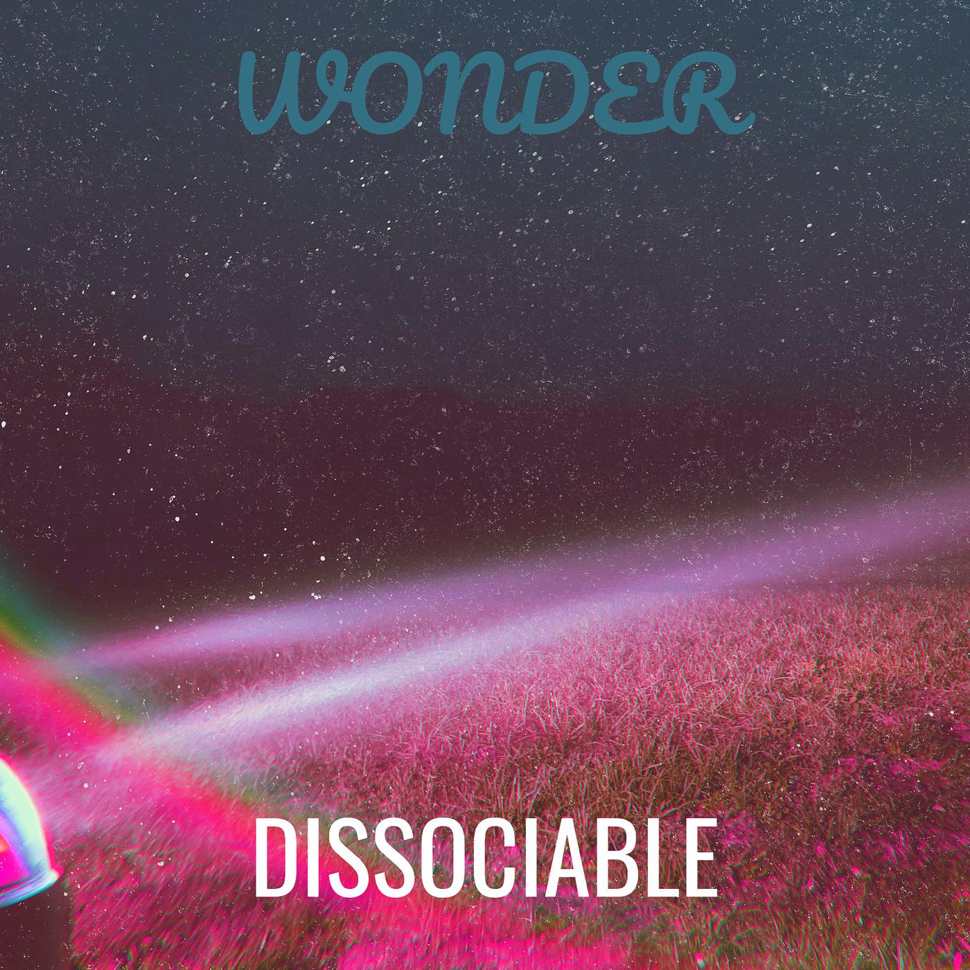 Постер альбома Wonder